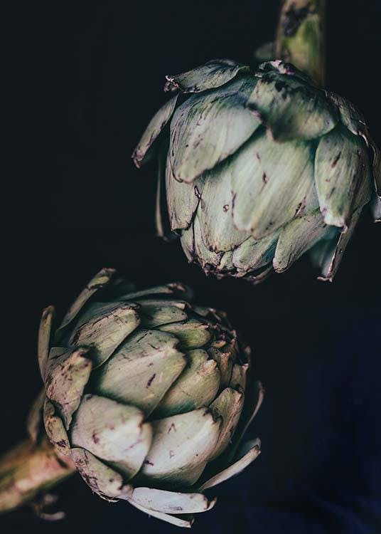 Artichokes Poster 0