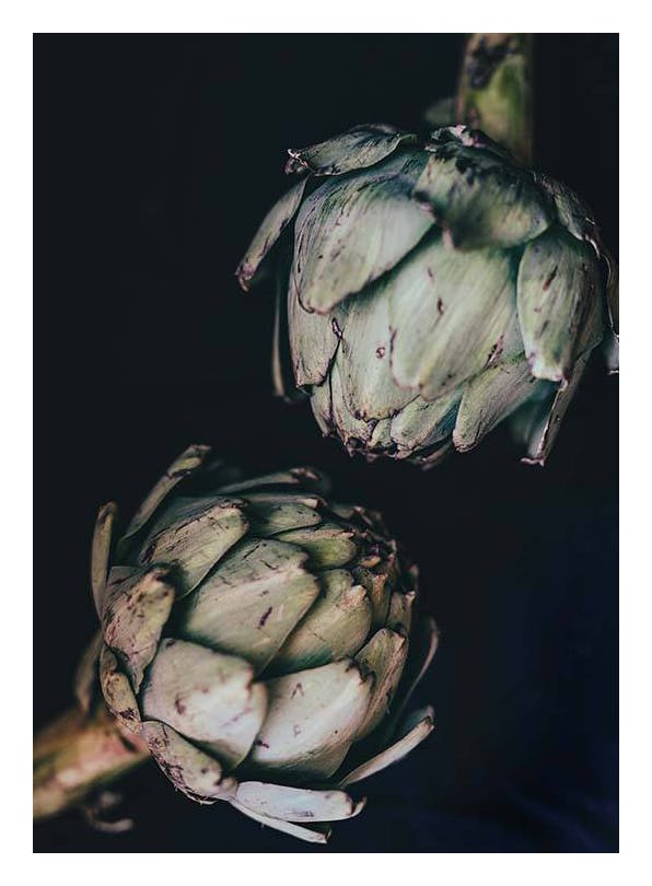 Artichokes Poster (50x70 cm)- Arte e quadros do cozinha