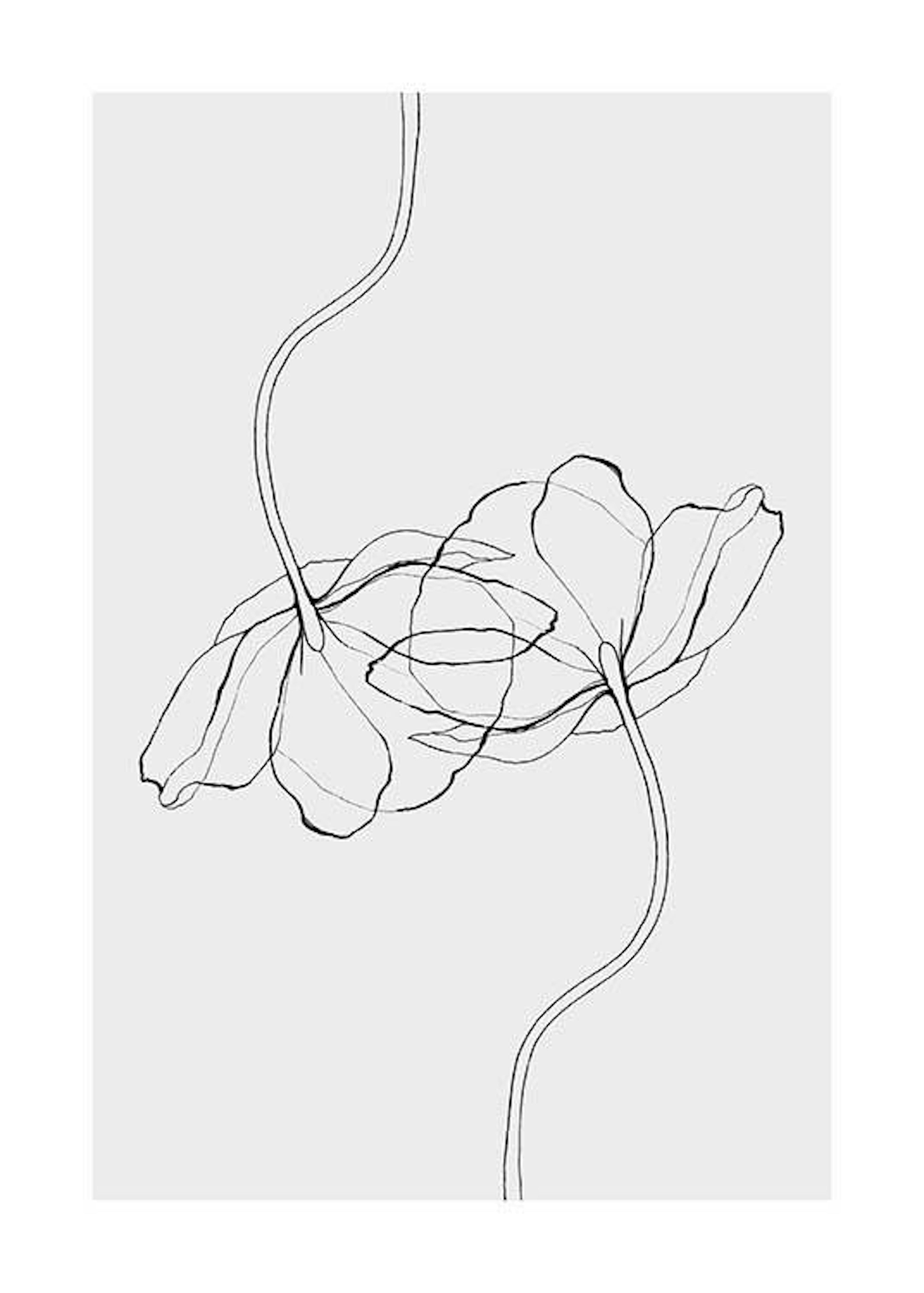 Line Poppies Print 0