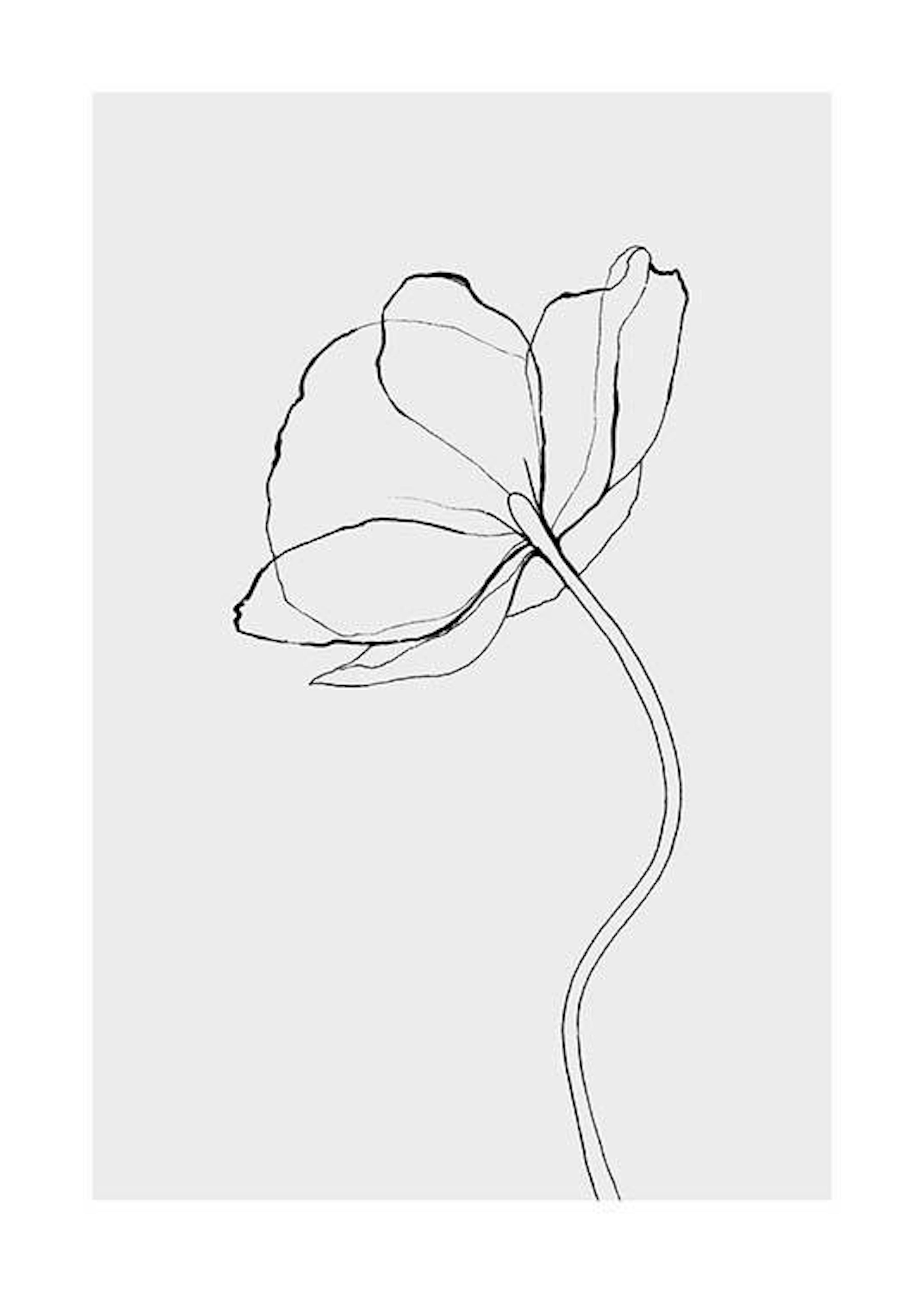 Line Poppy Print 0