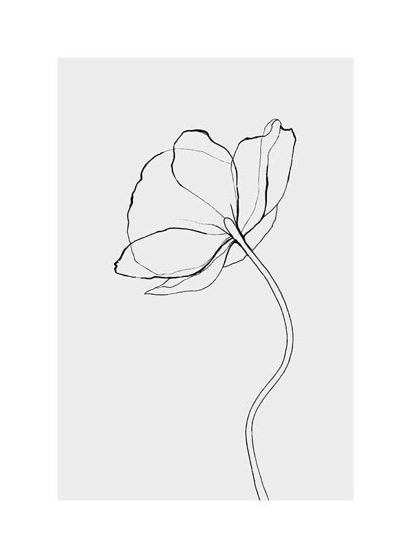 Line Poppy Poster (30x40 cm) - Zwart wit posters