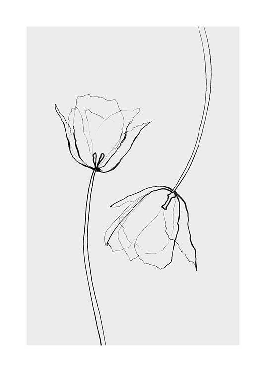 Line Tulips Plakat 0
