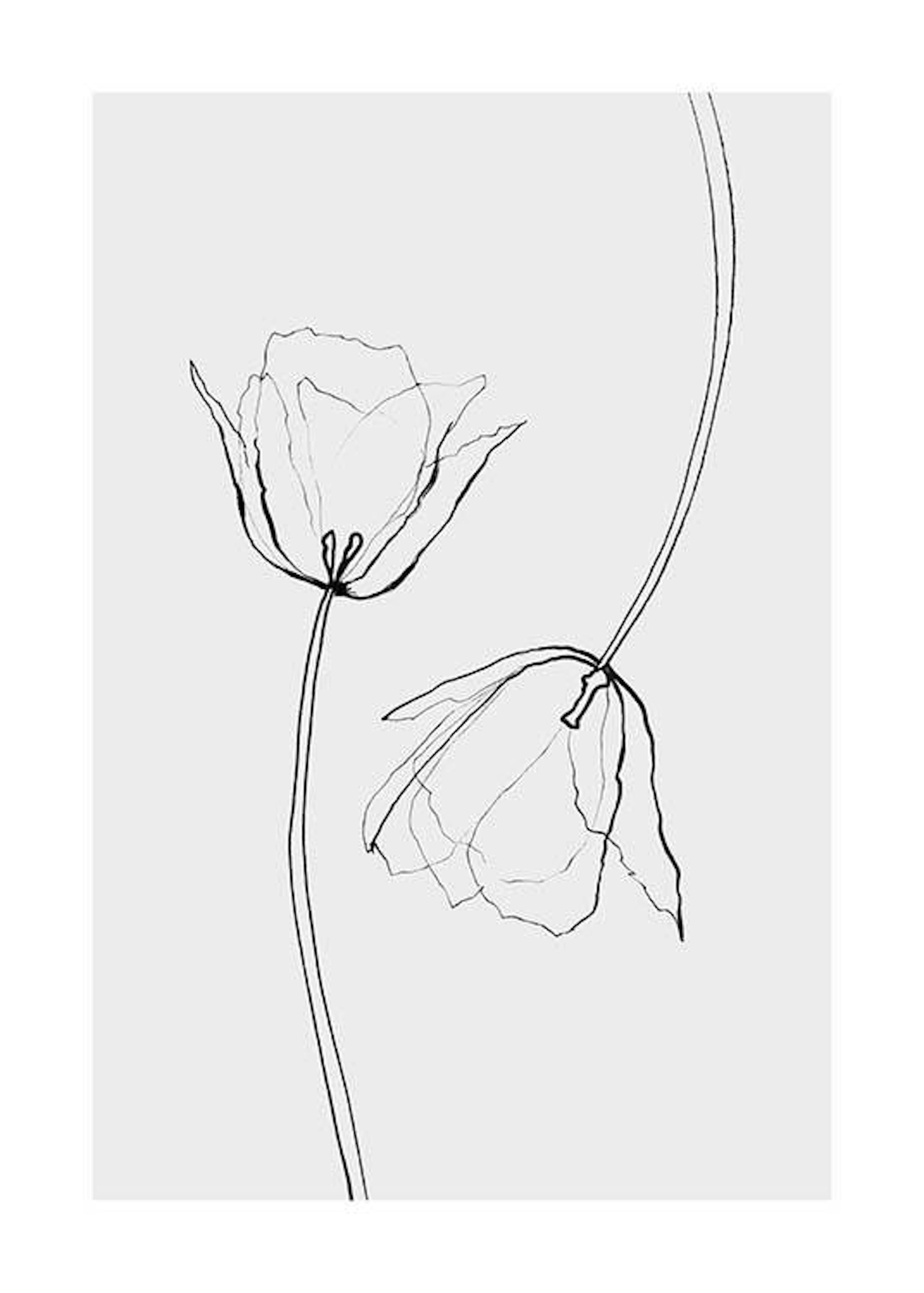 Line Tulips Print 0