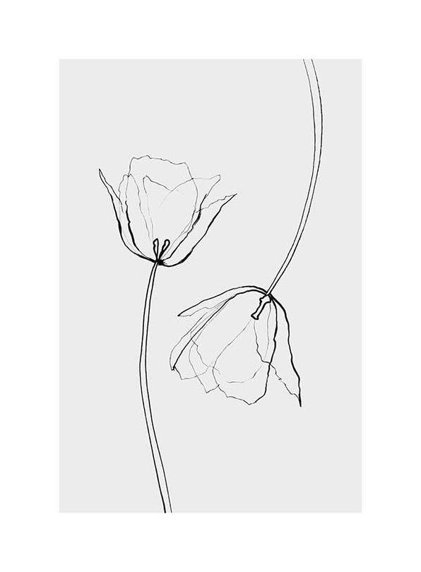 Line Tulips Print (50x70 cm)