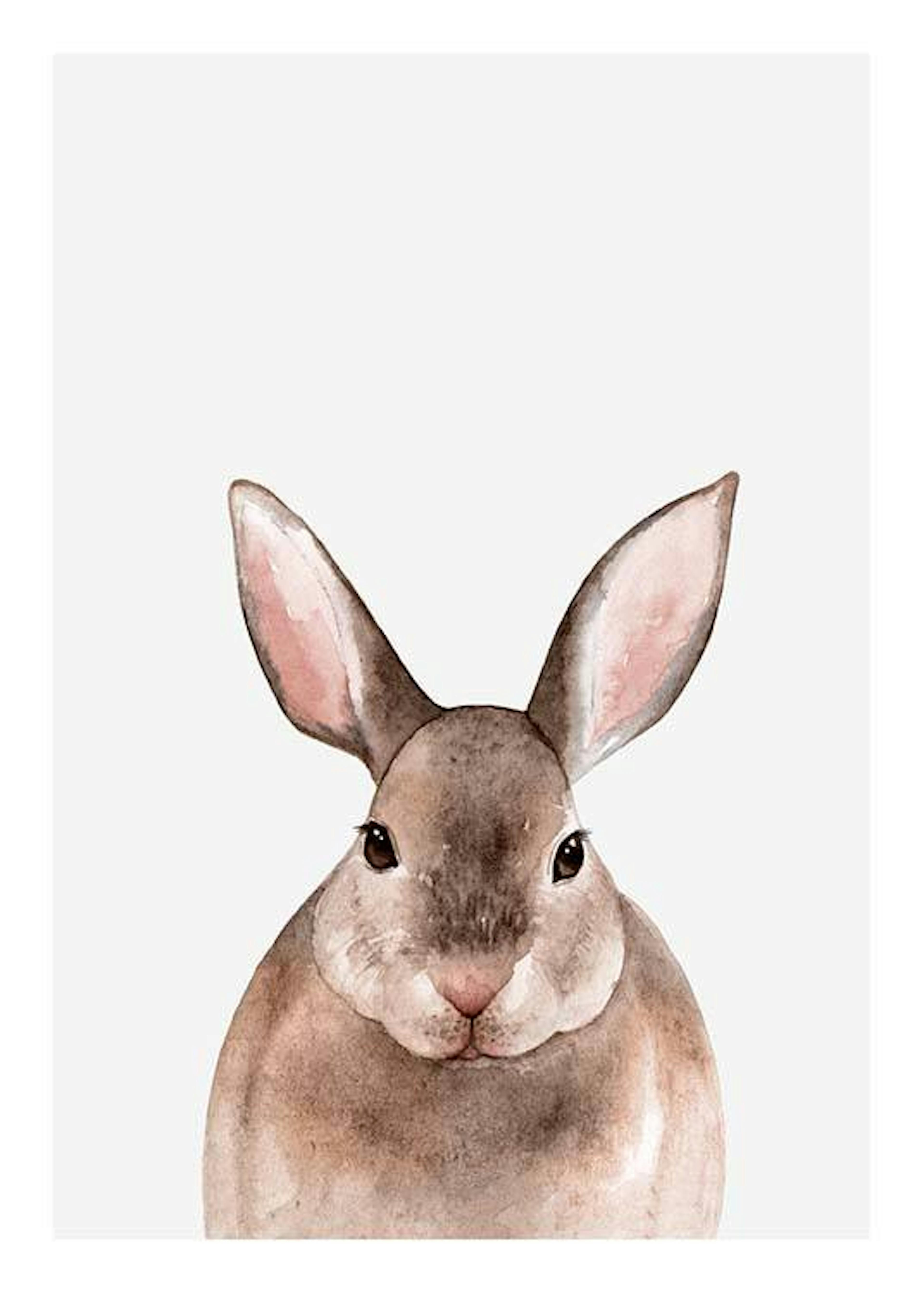 Little Rabbit 포스터 0