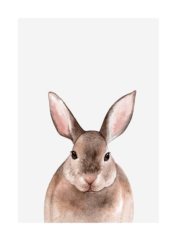Little Rabbit Poster (21x30 cm) - Kinderposters