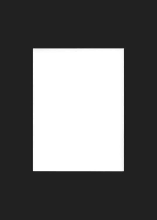 Picture mount black, 50x70 (50x70 cm)