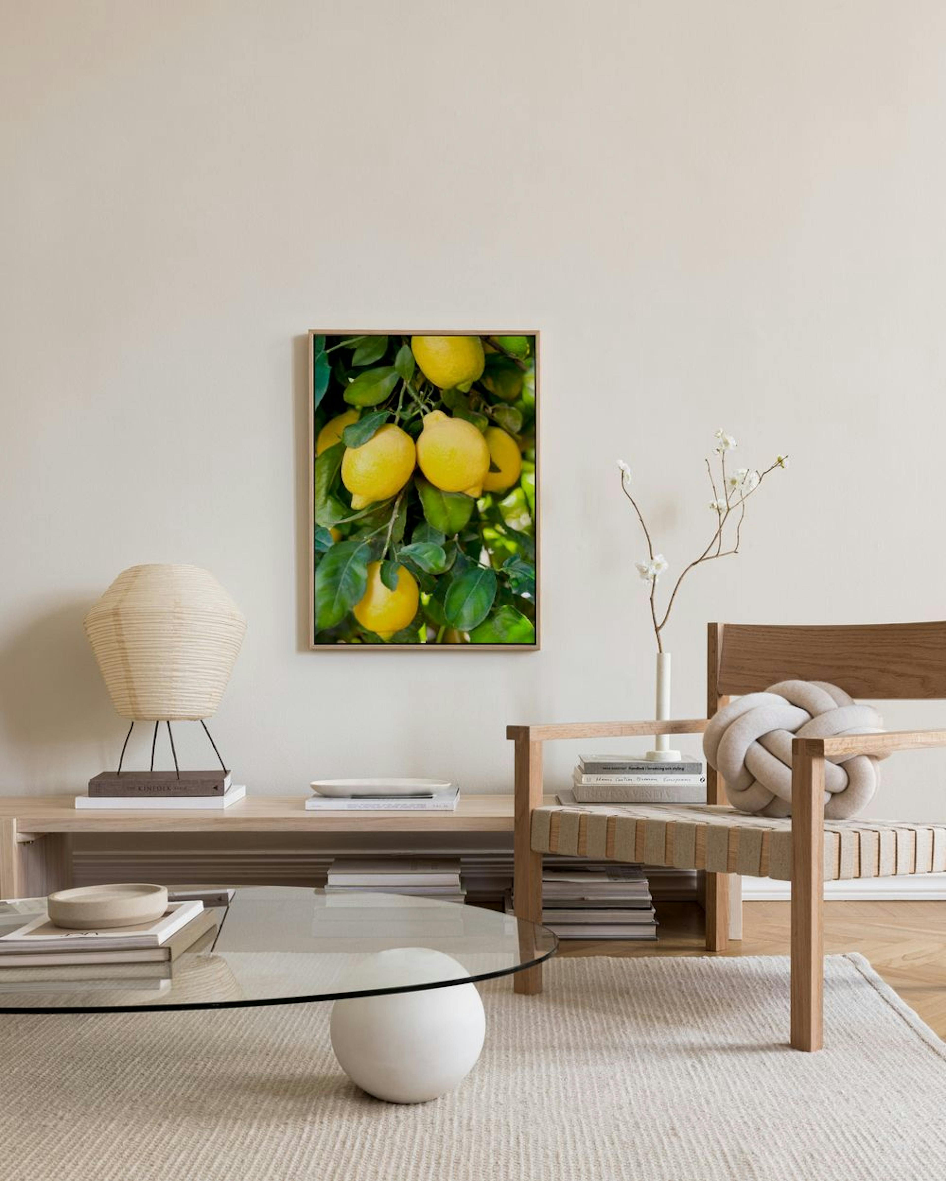 Fresh Lemons Obraz na plátne