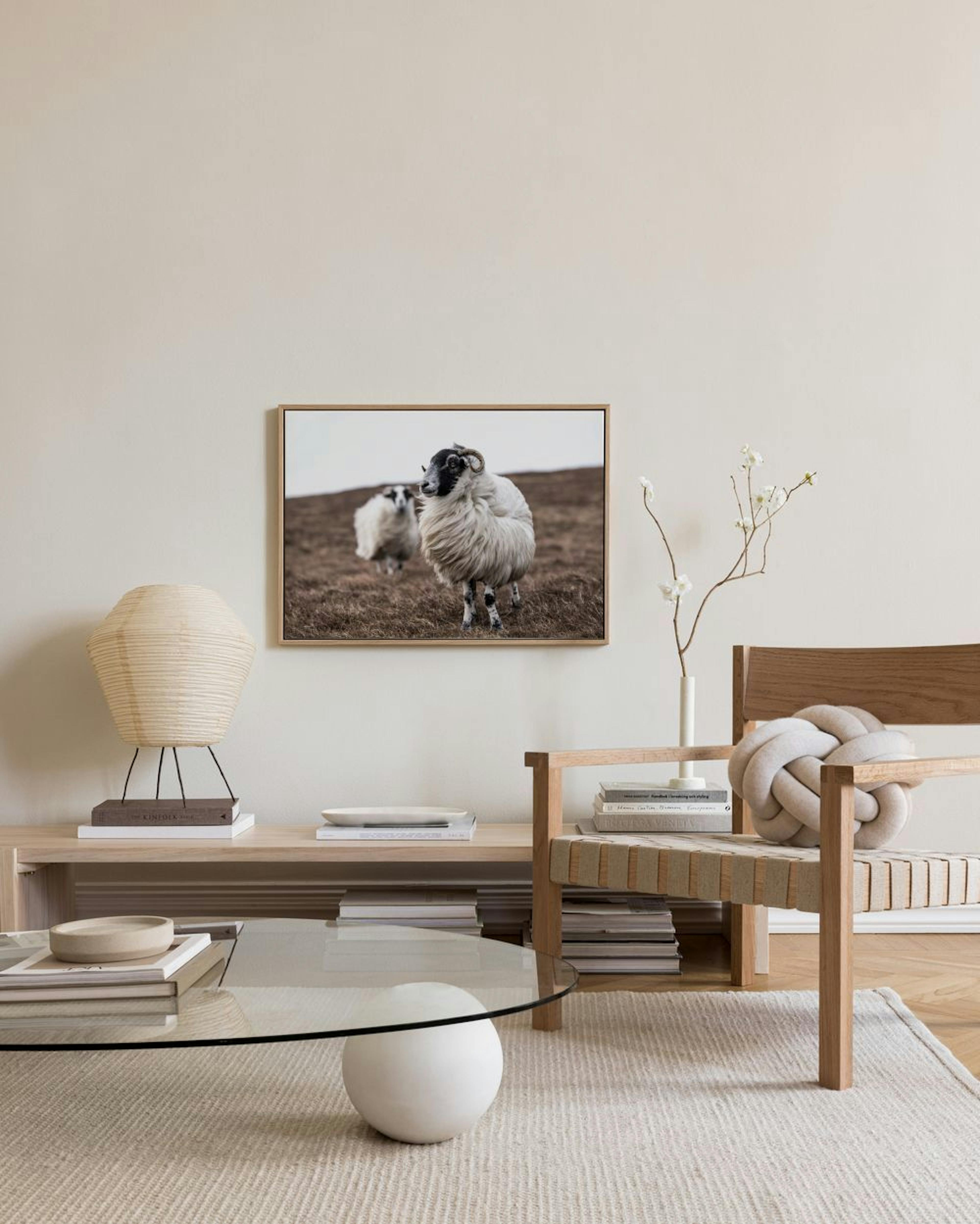 Sheep Lerret