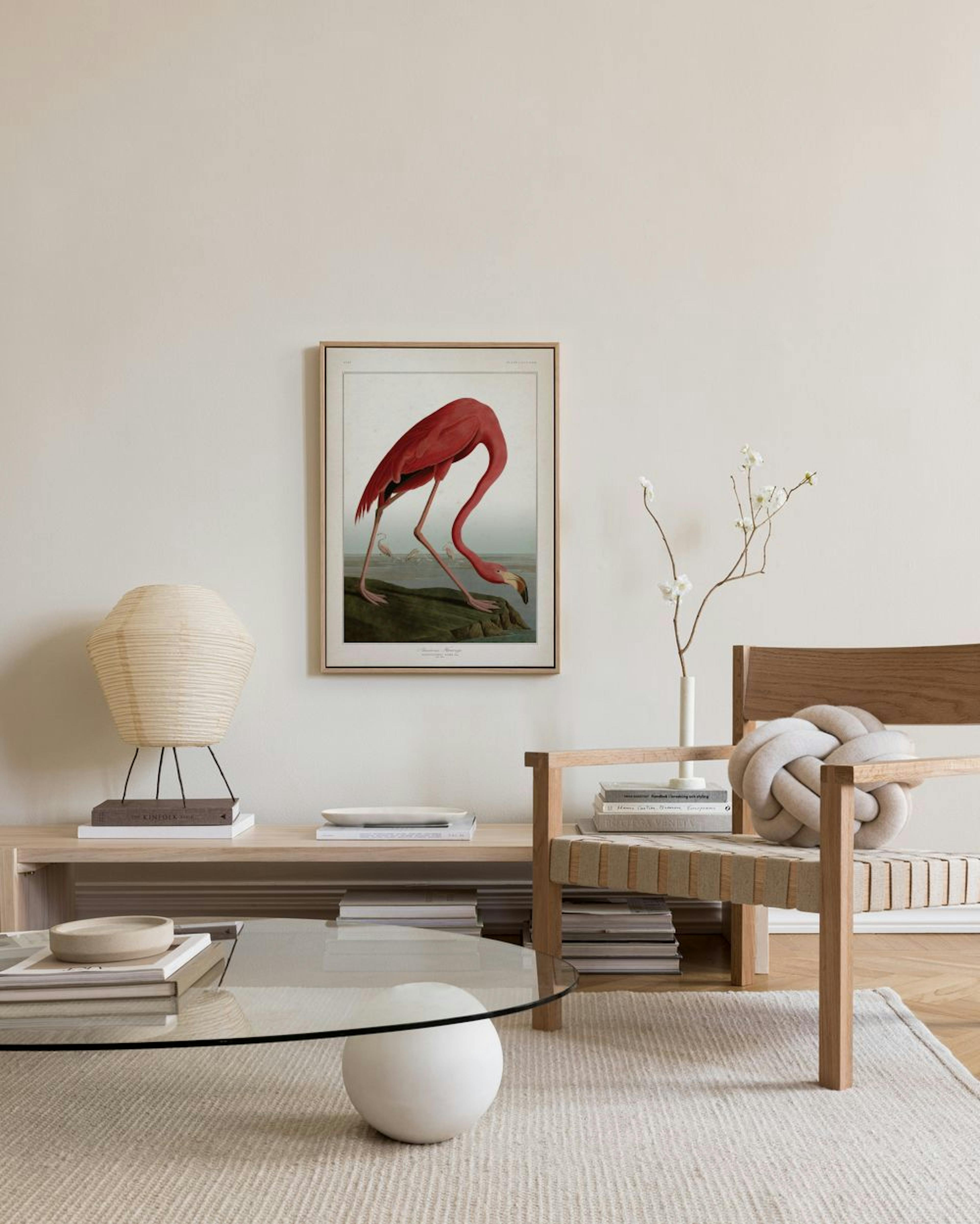 American Flamingo Obraz na płótnie