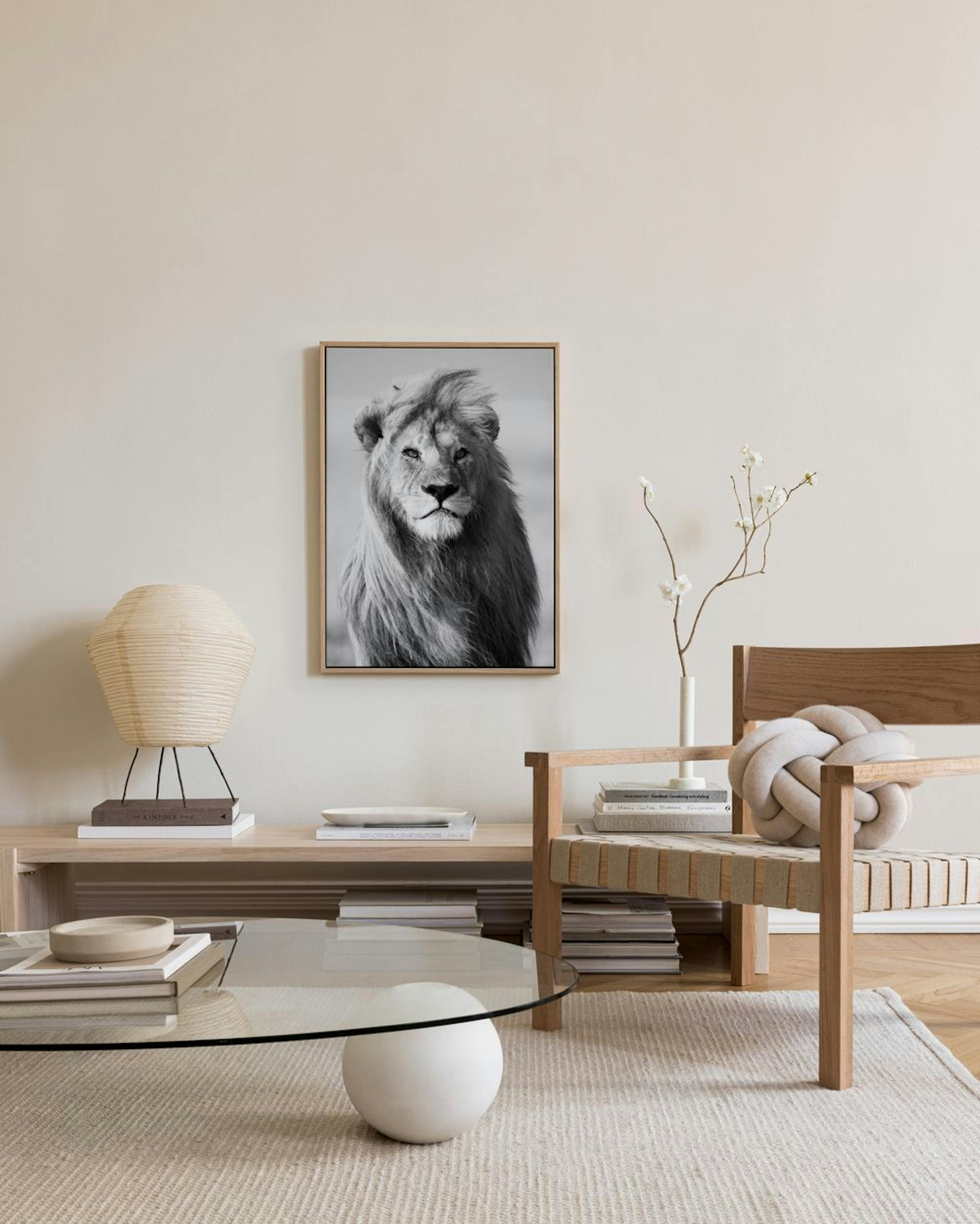 Lion Tela