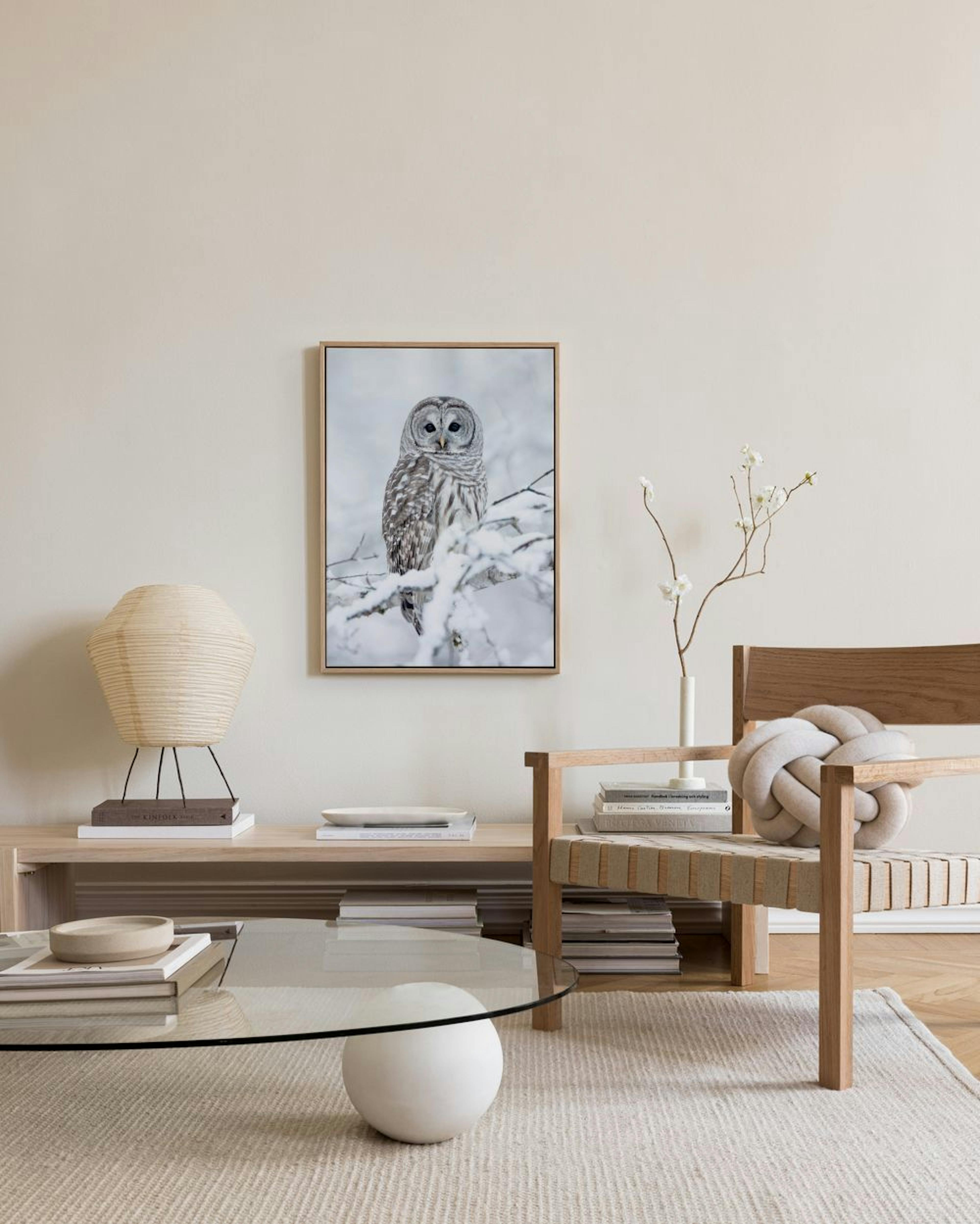 Barred Owl Quadro em tela