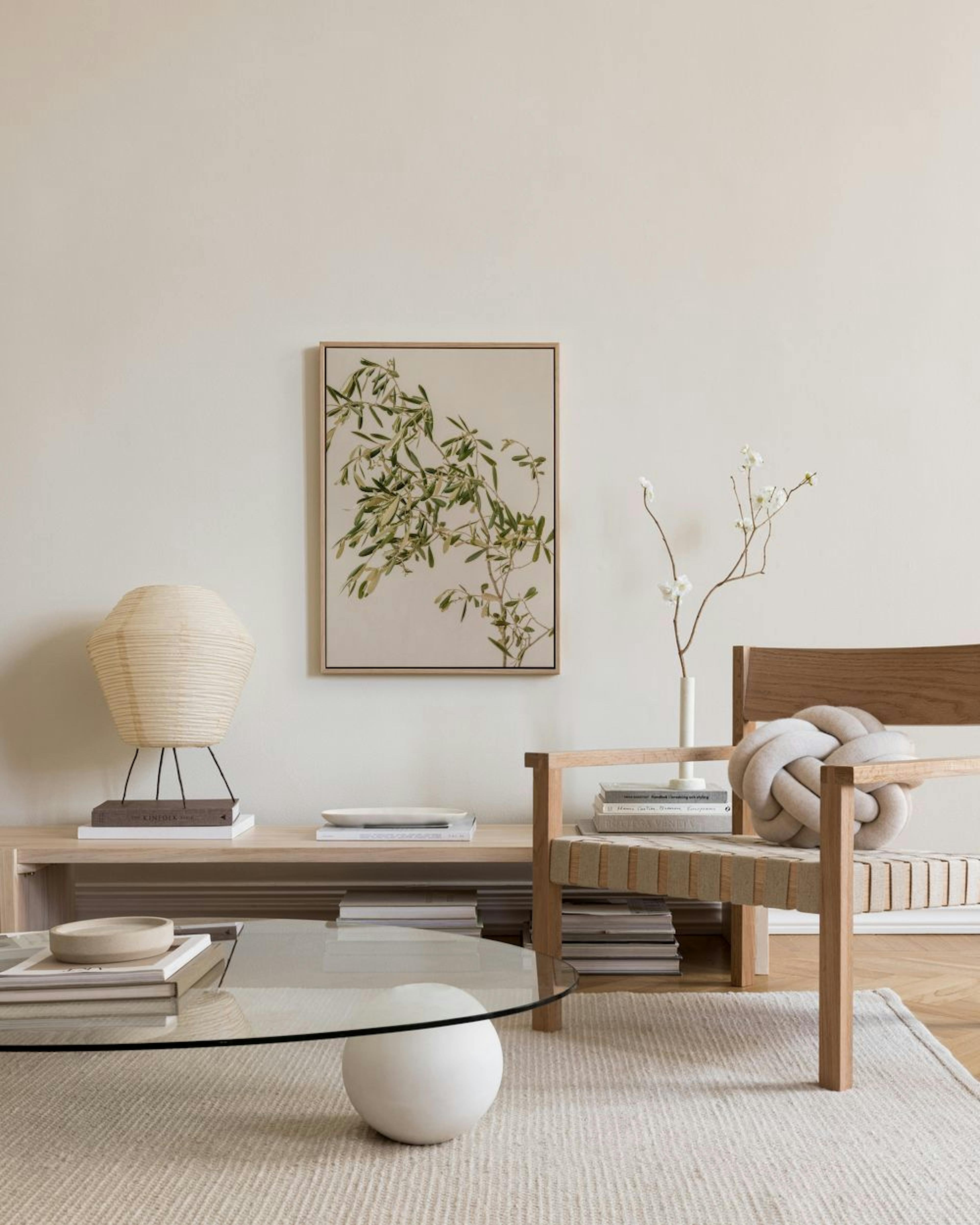Mediterranean Olive Branch Canvas print
