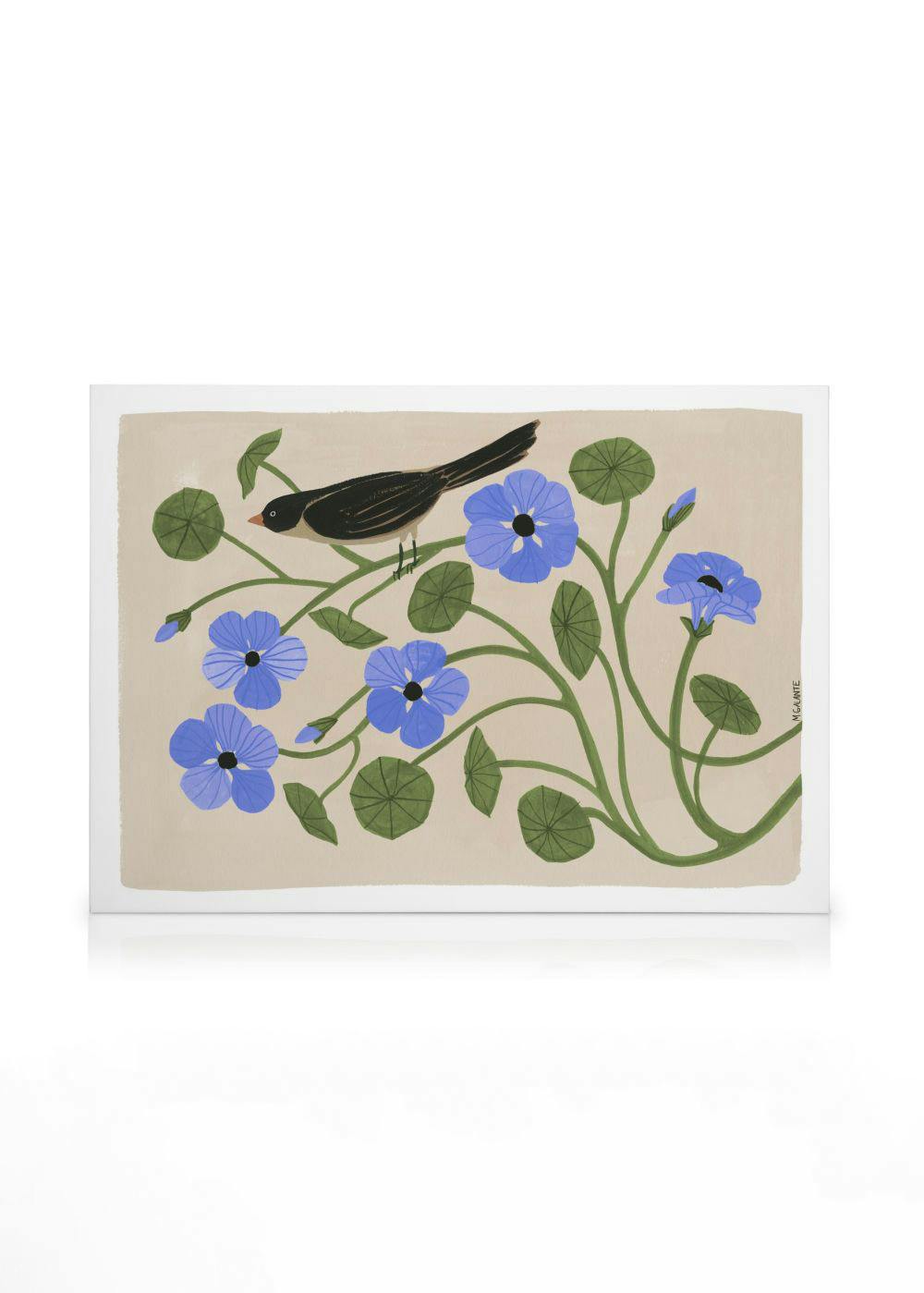 Canvas Prints Megan Galante - Garden Pansey Canvas print (50x70 cm - Black Frame)