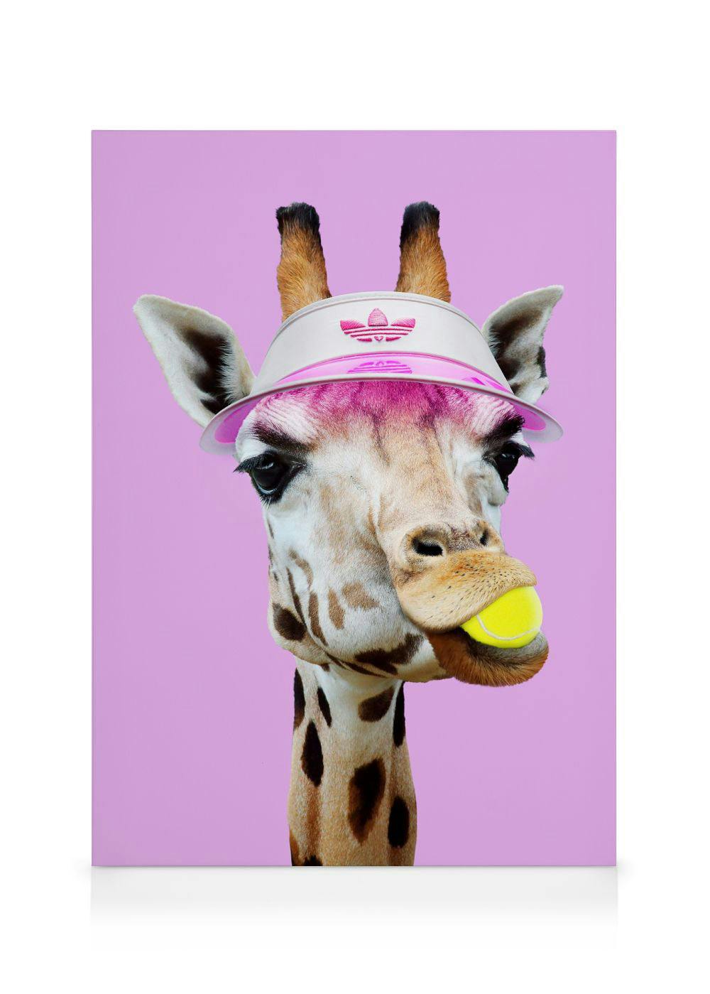 Jonas Loose - Tennis Giraffe Toile (30x40 cm - Cadre de chêne)  Animaux sauvages