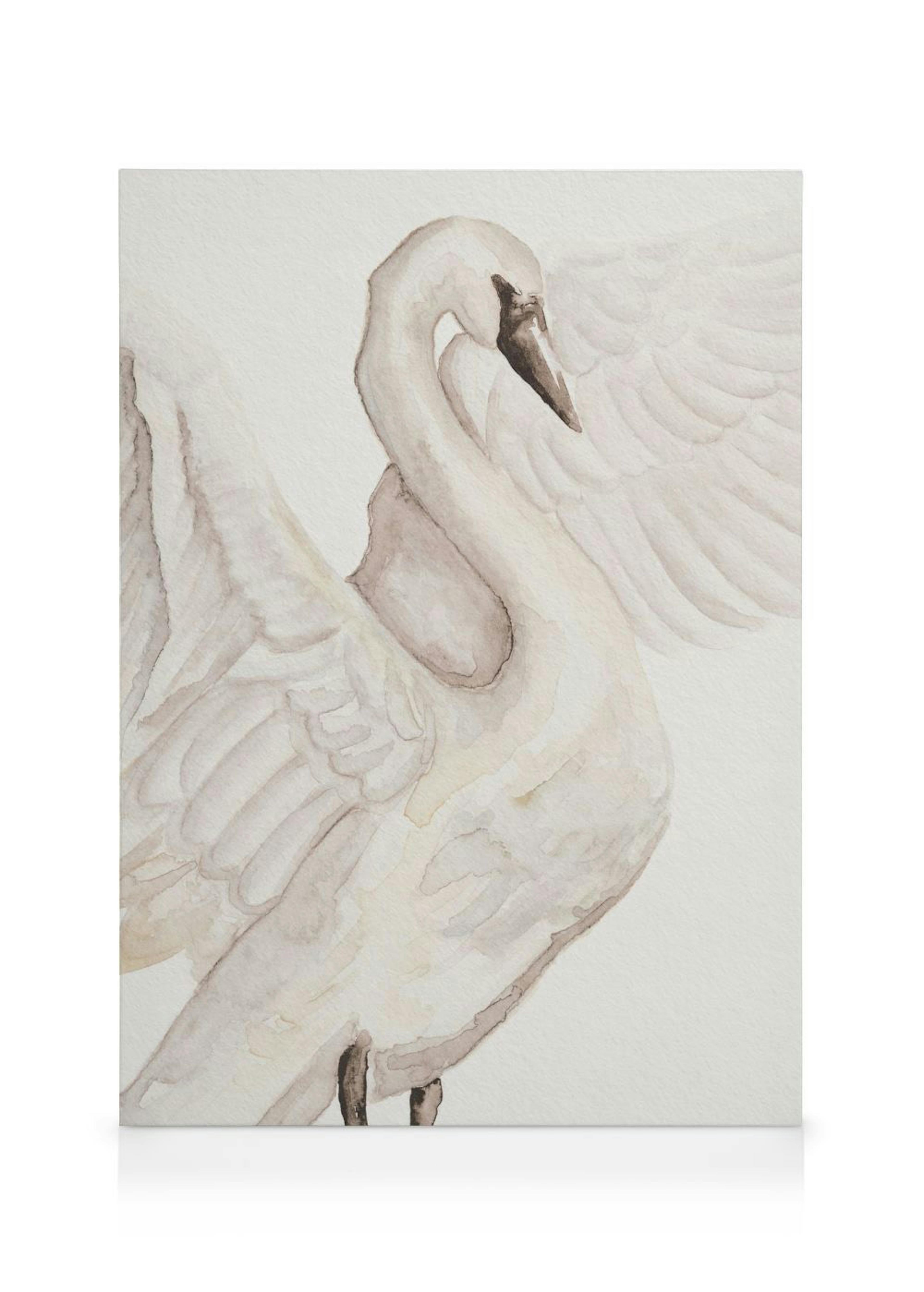 Watercolor Swan Leinwandbild 0
