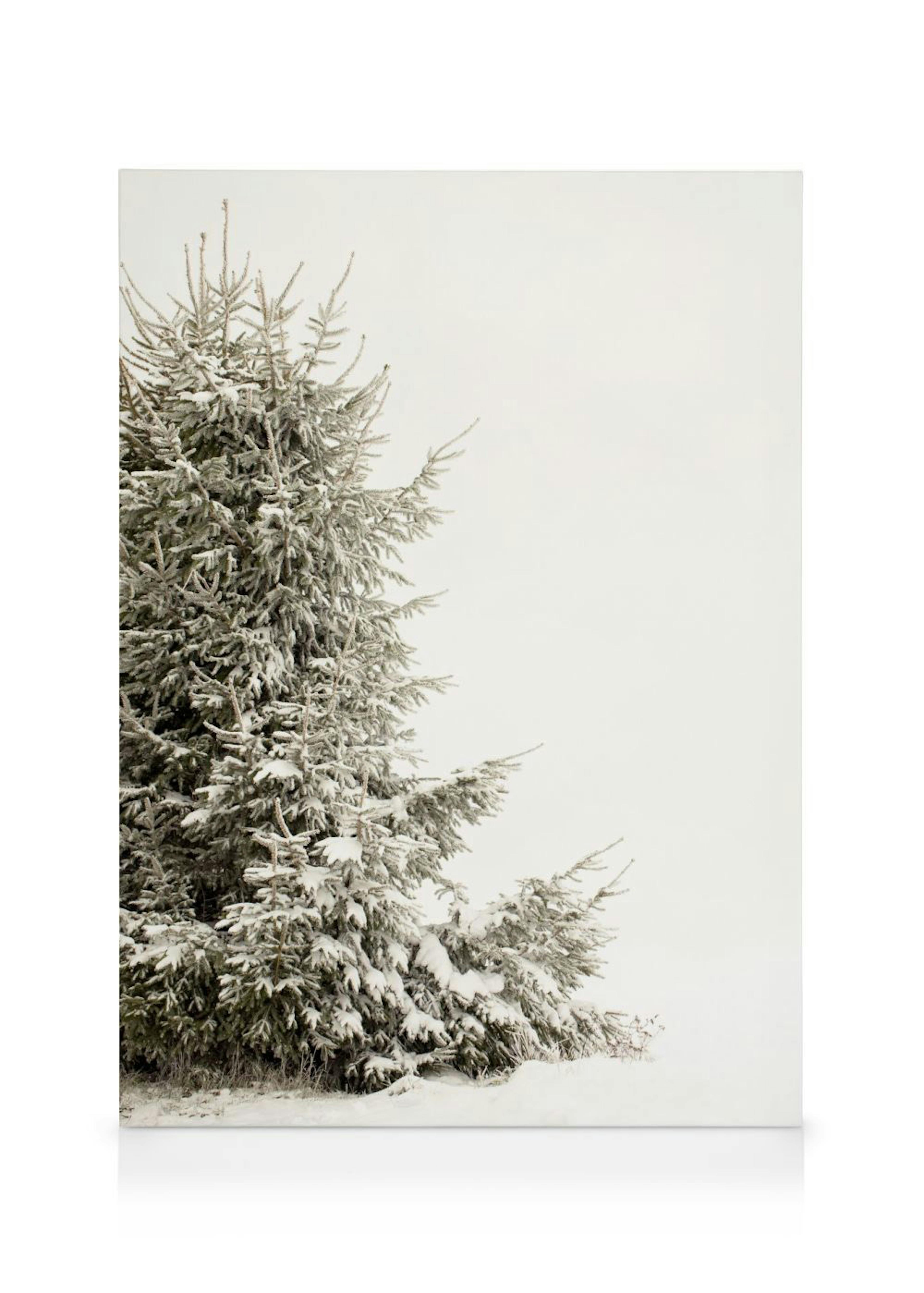 Snowy Holiday Tree Lerret 0