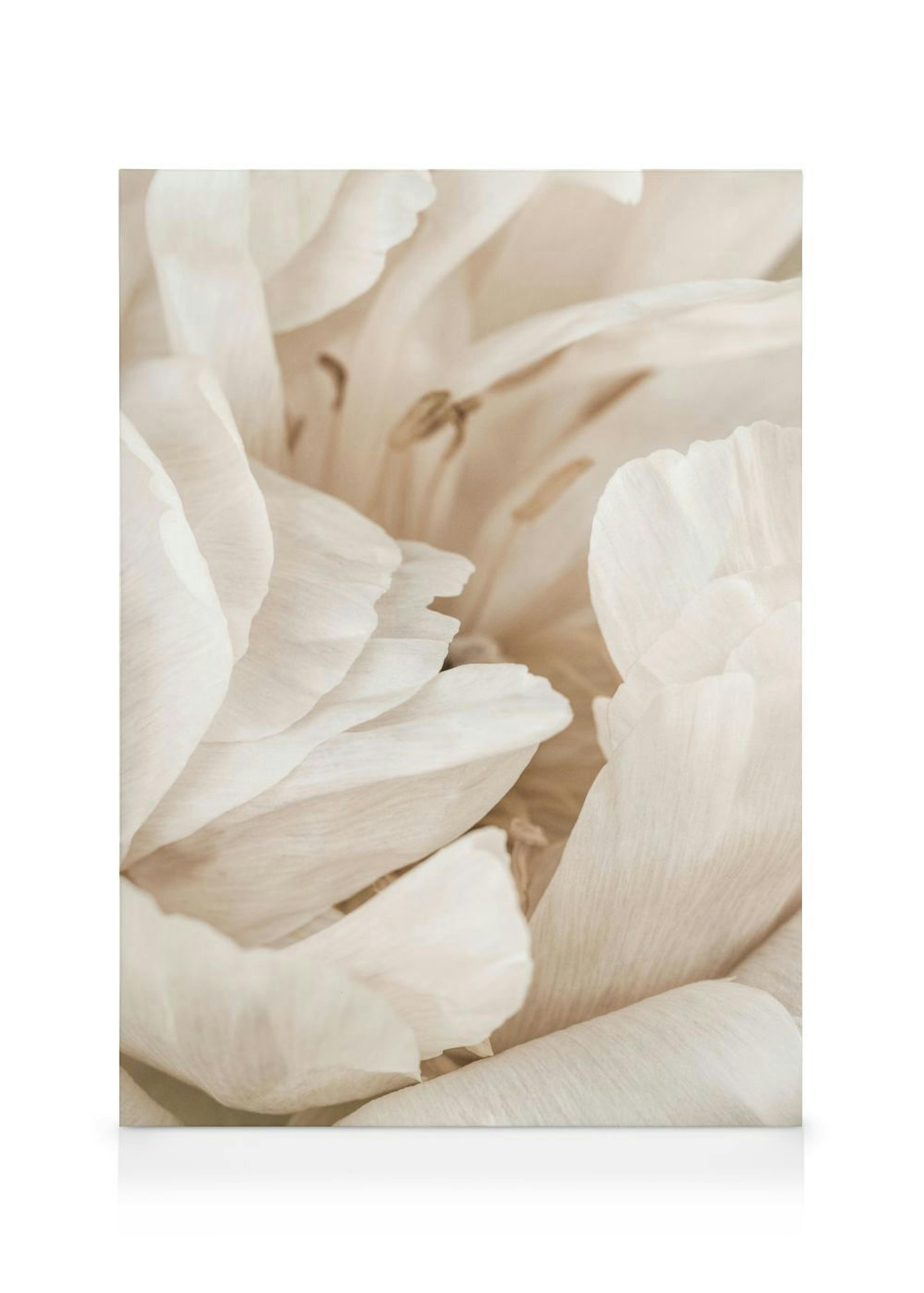 Product image: 4