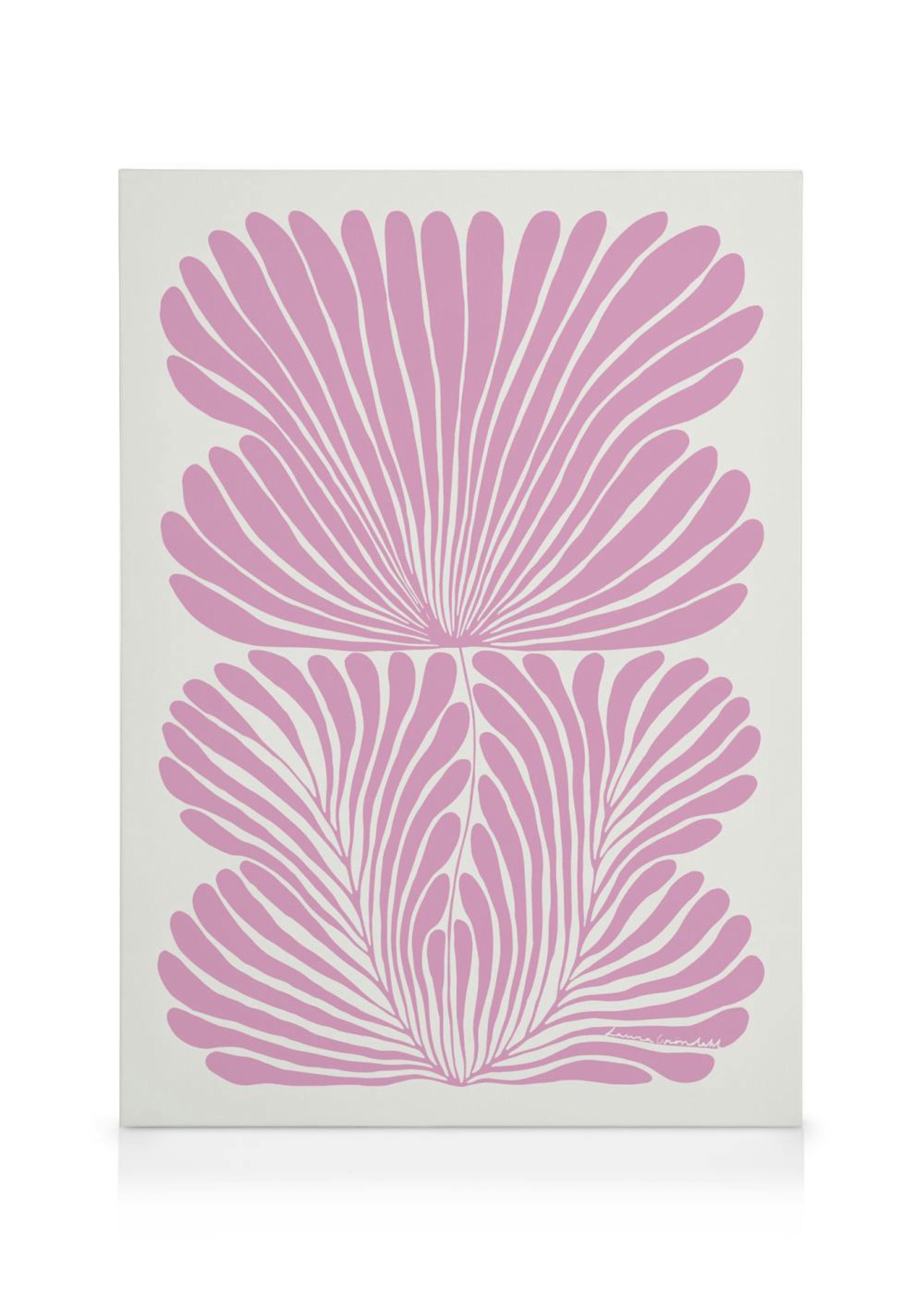 Lienzo con dos formas simétricas de conchas rosadas que irradian líneas sobre un fondo blanco, estilo botánico.