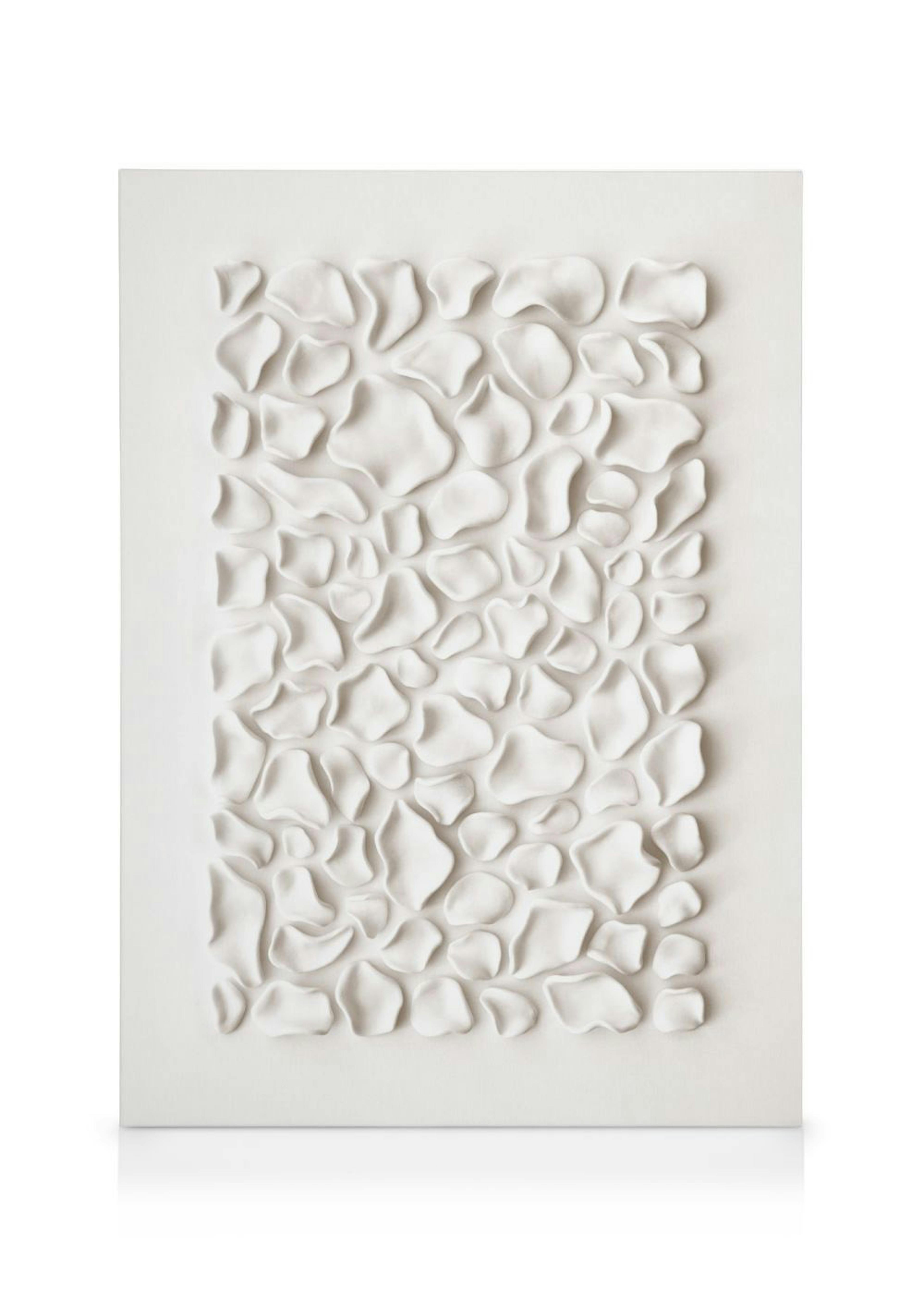 Soft Aligned Canvas print 0