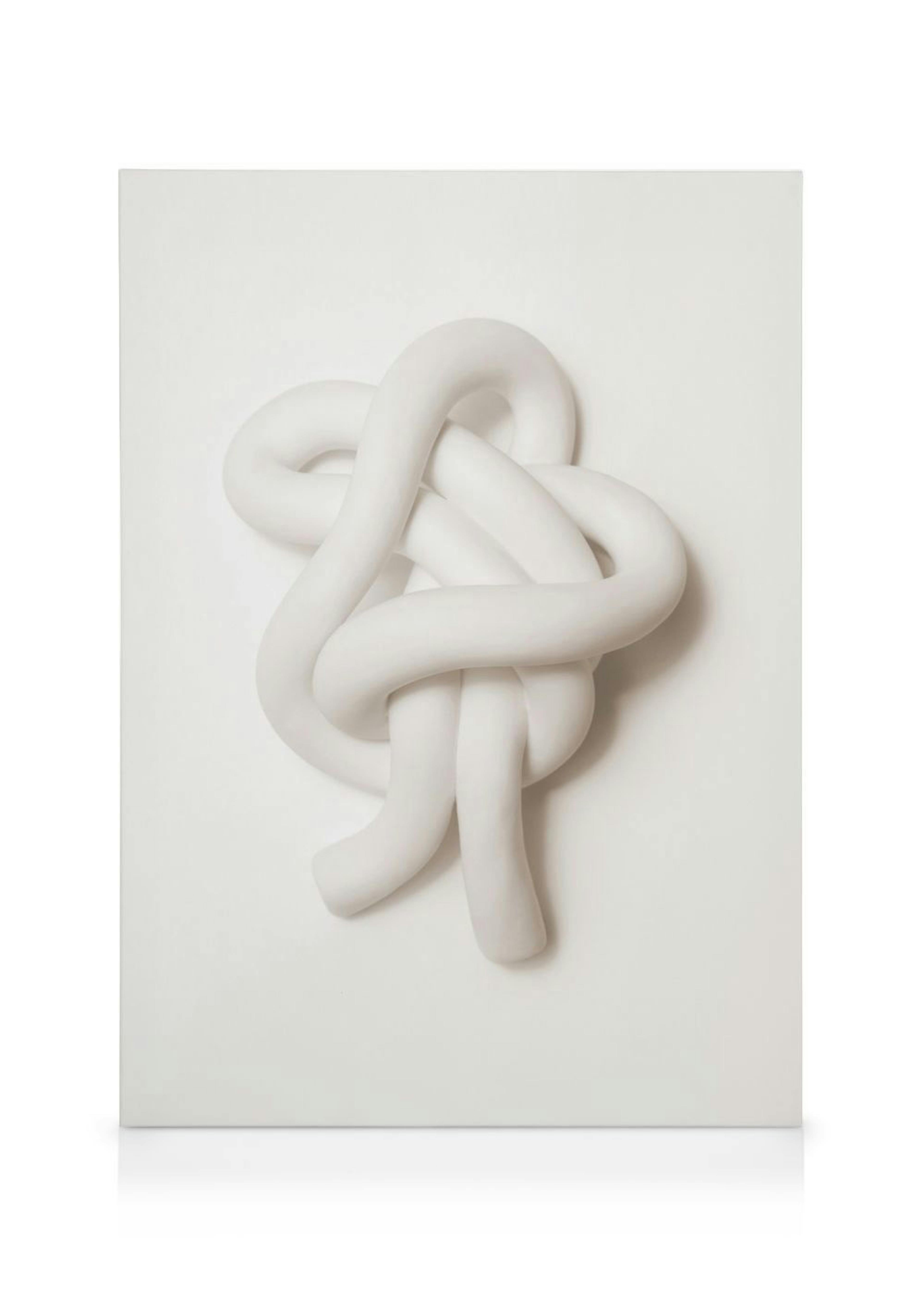Soft Knot Canvas print 0