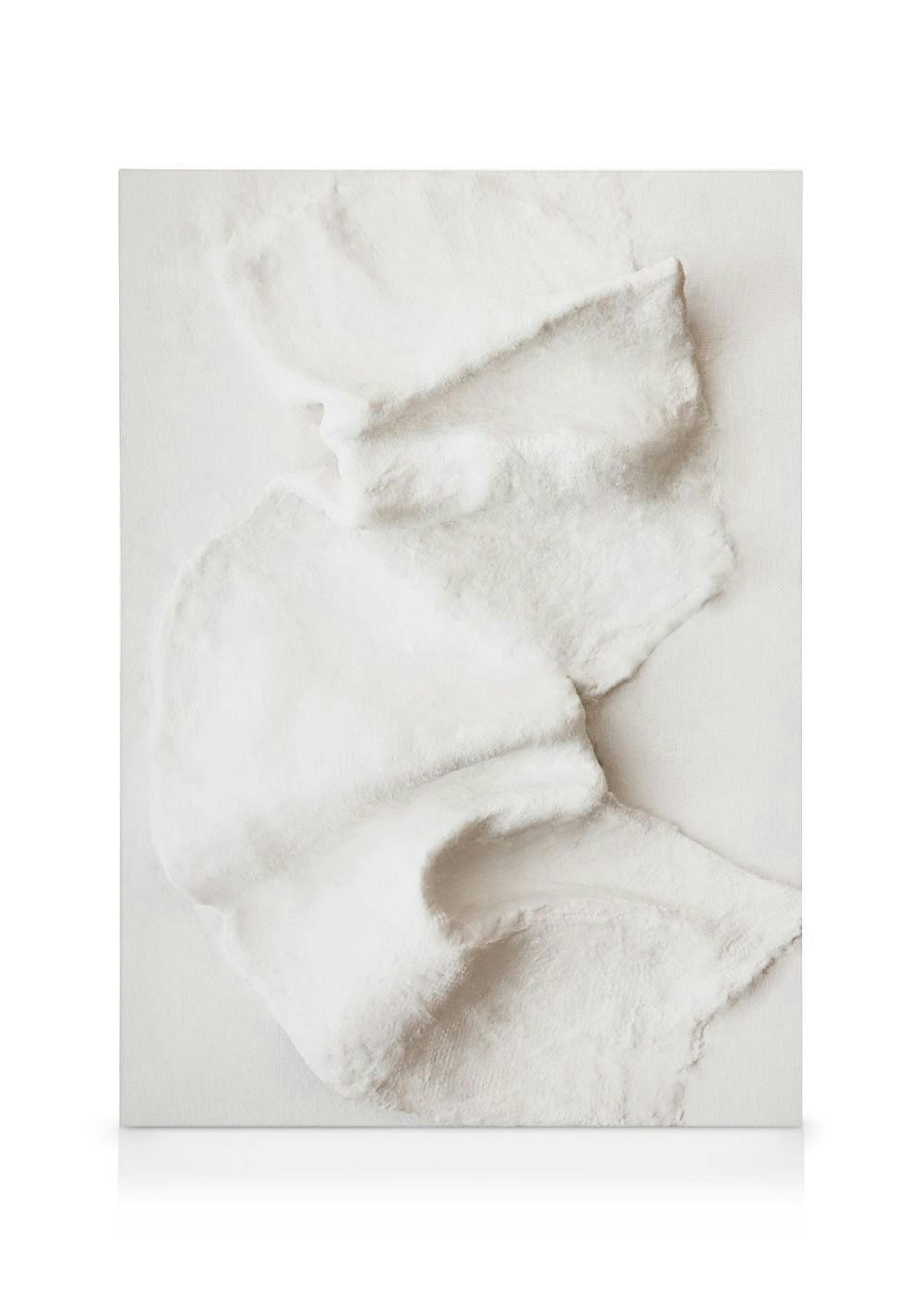 Sculpted Plaster Texture Lienzo 0
