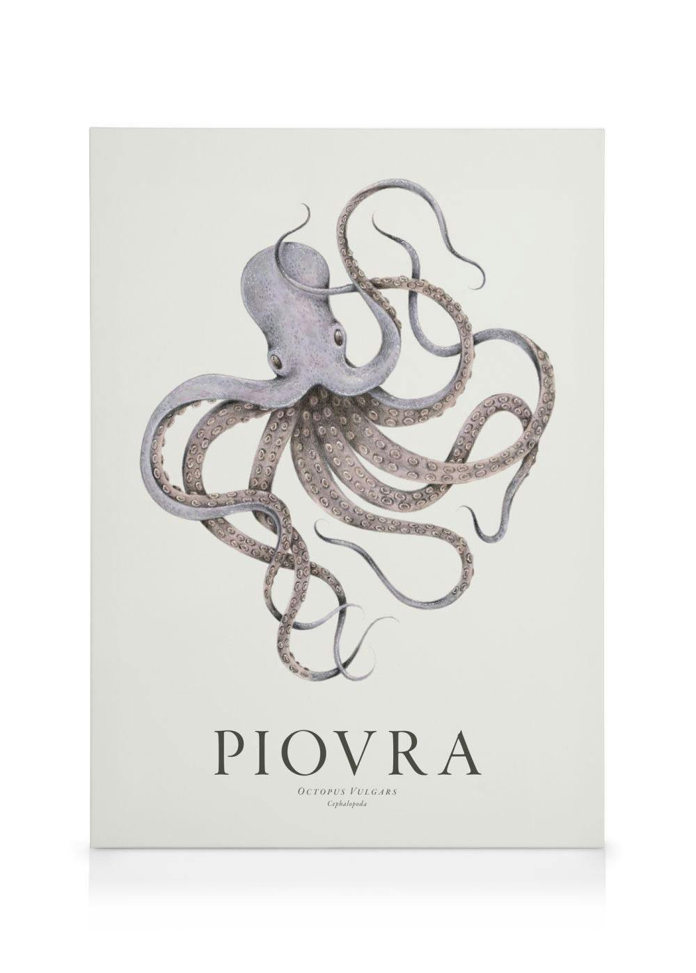 Realistic canvas print of a grey octopus with tentacles splayed, featuring detailed suction cups and a smooth texture.