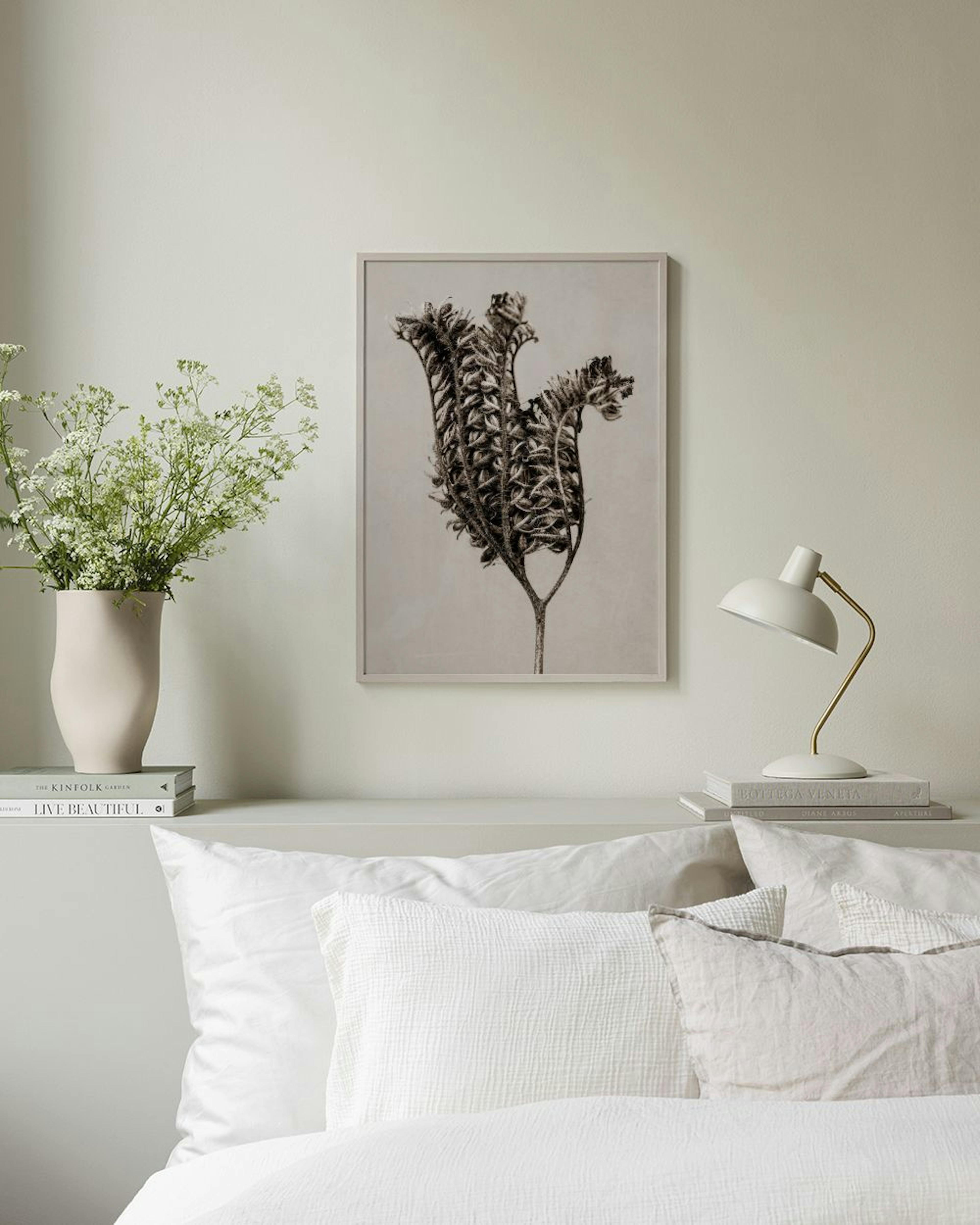 Still Life Fiddleneck Plakat