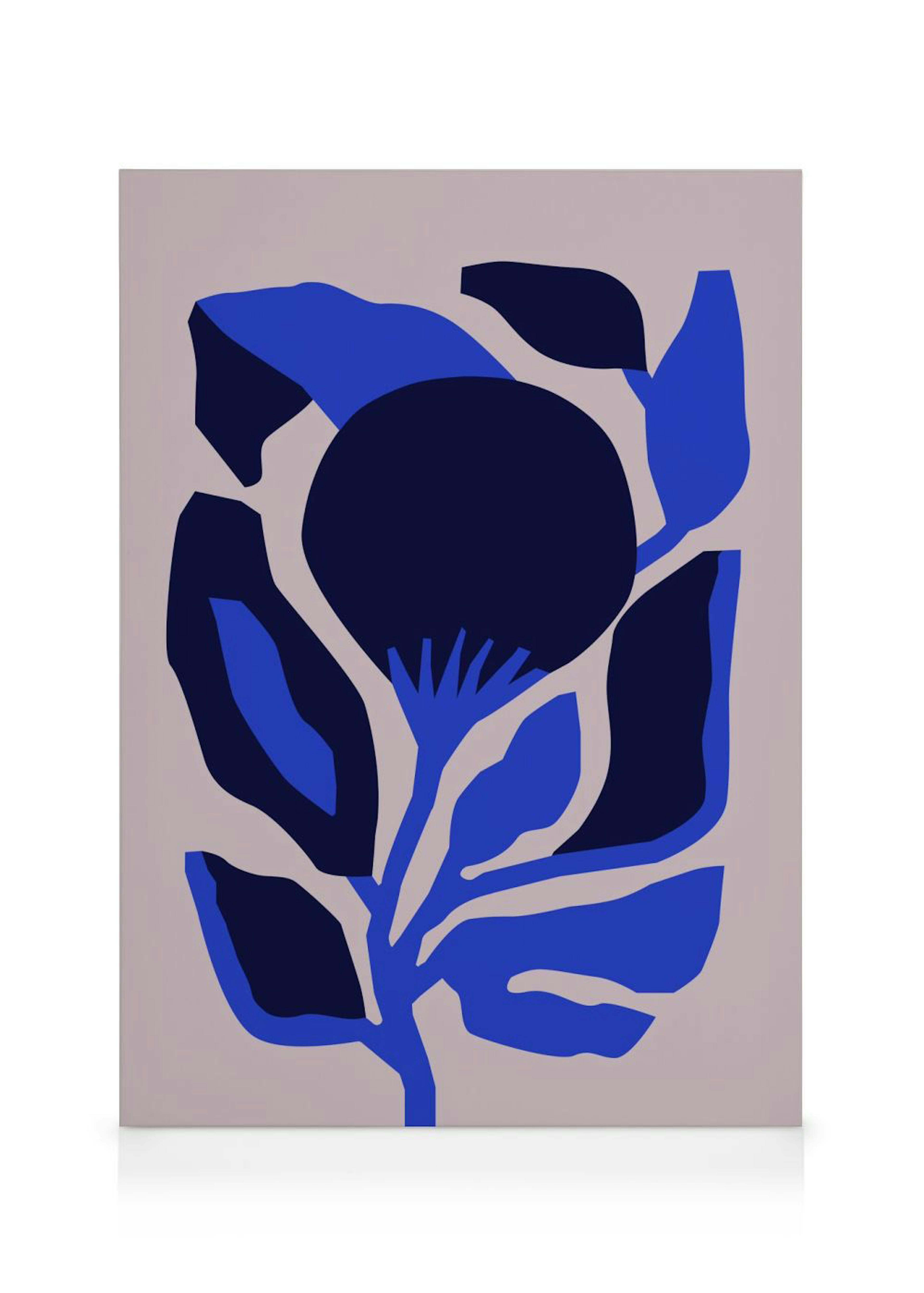 Berenice Hernandez - Flor Enero Canvas print 0