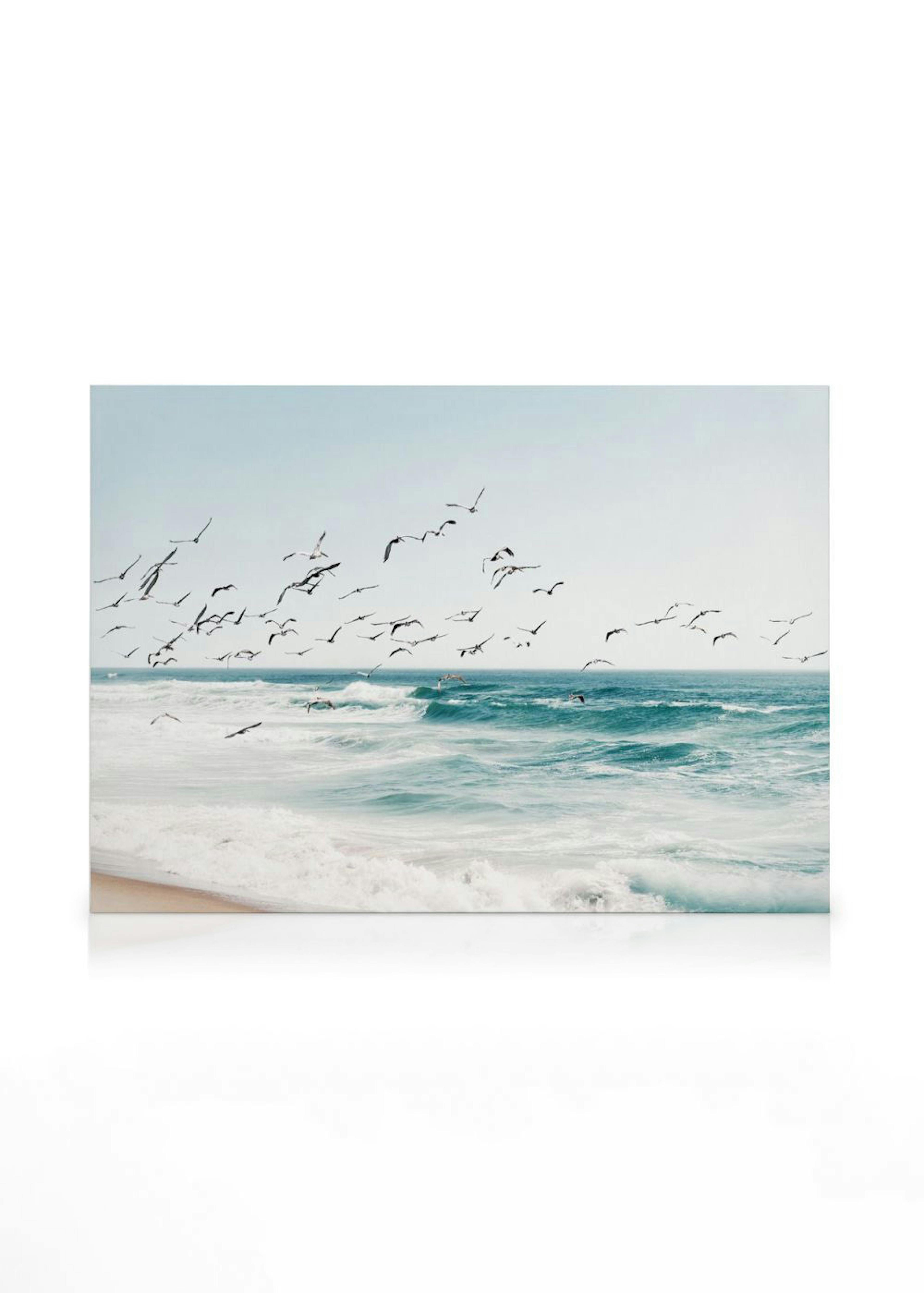 Birds on Seascape Obraz na plátne 0