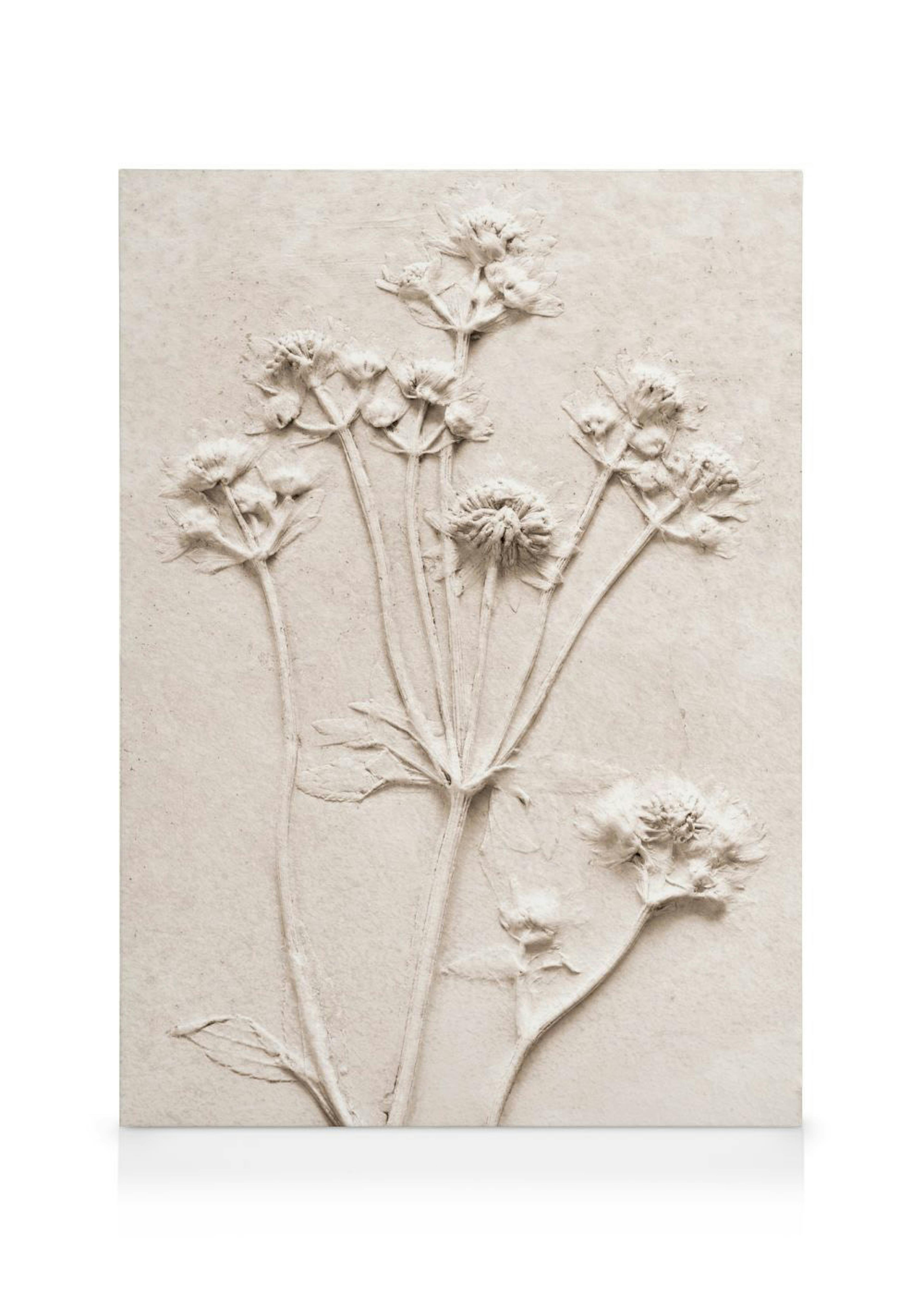 Relief Flowers No1 Καμβά 0