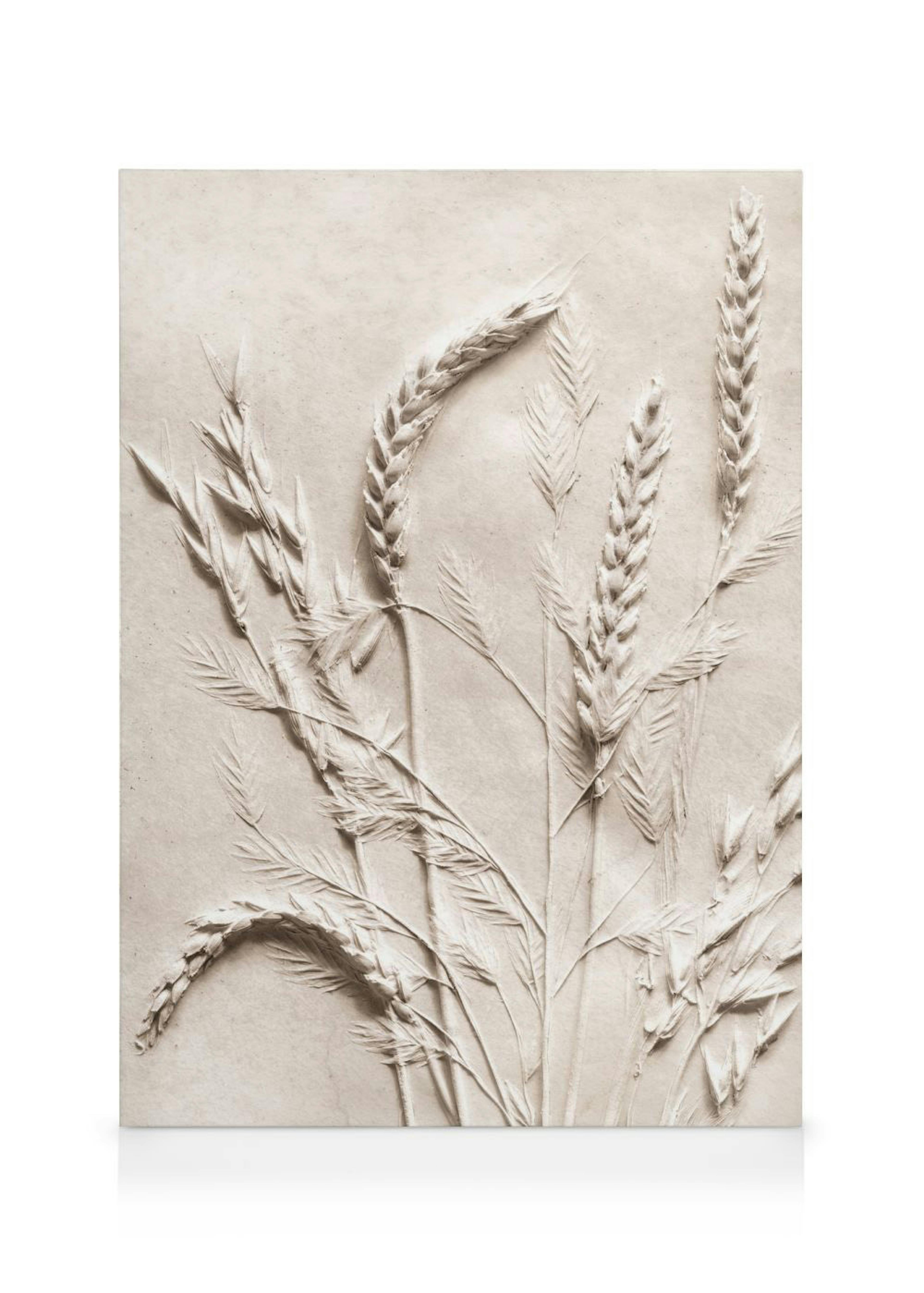Relief Wheat Καμβά 0