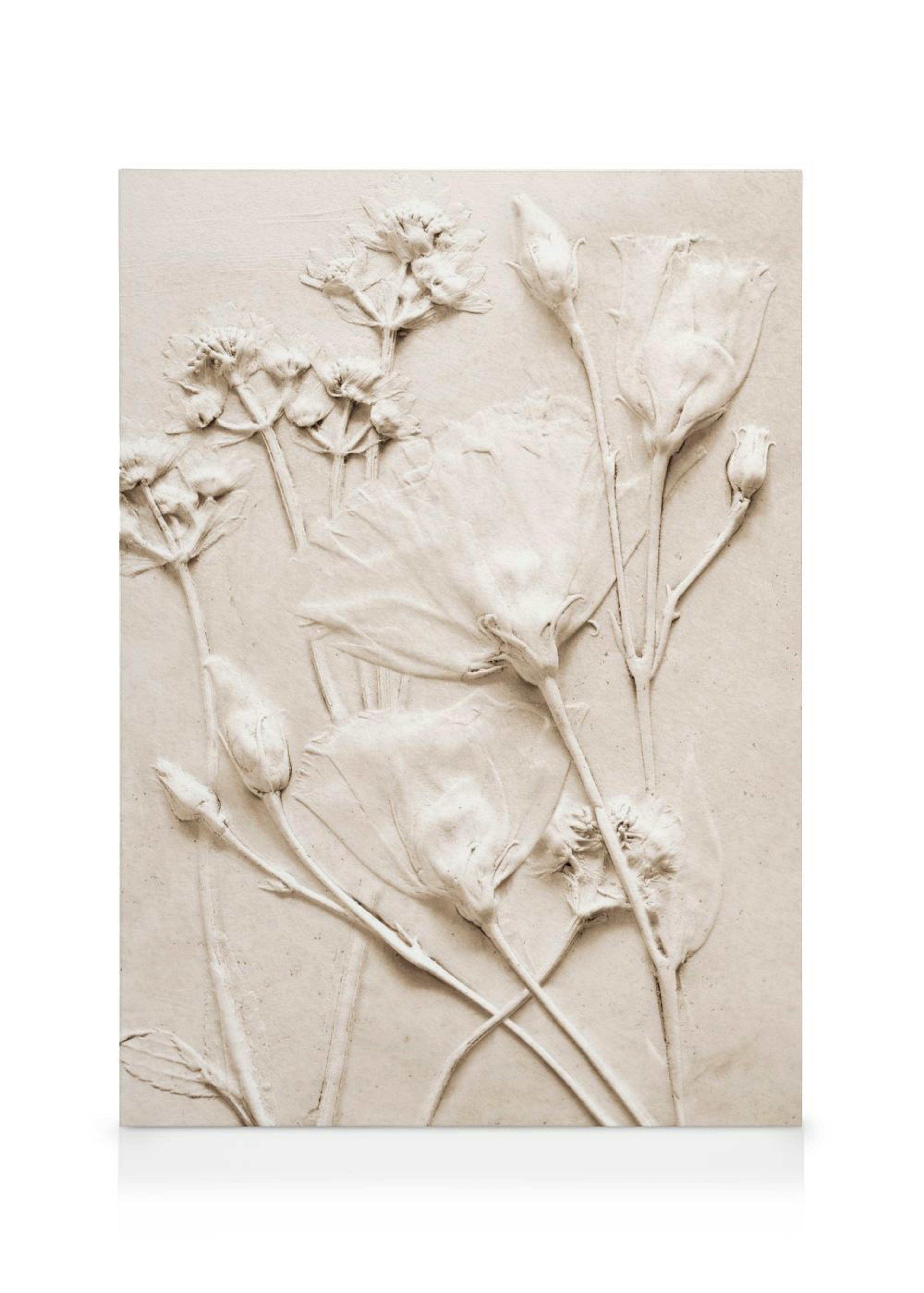 Relief Flowers No2 Canvas 0