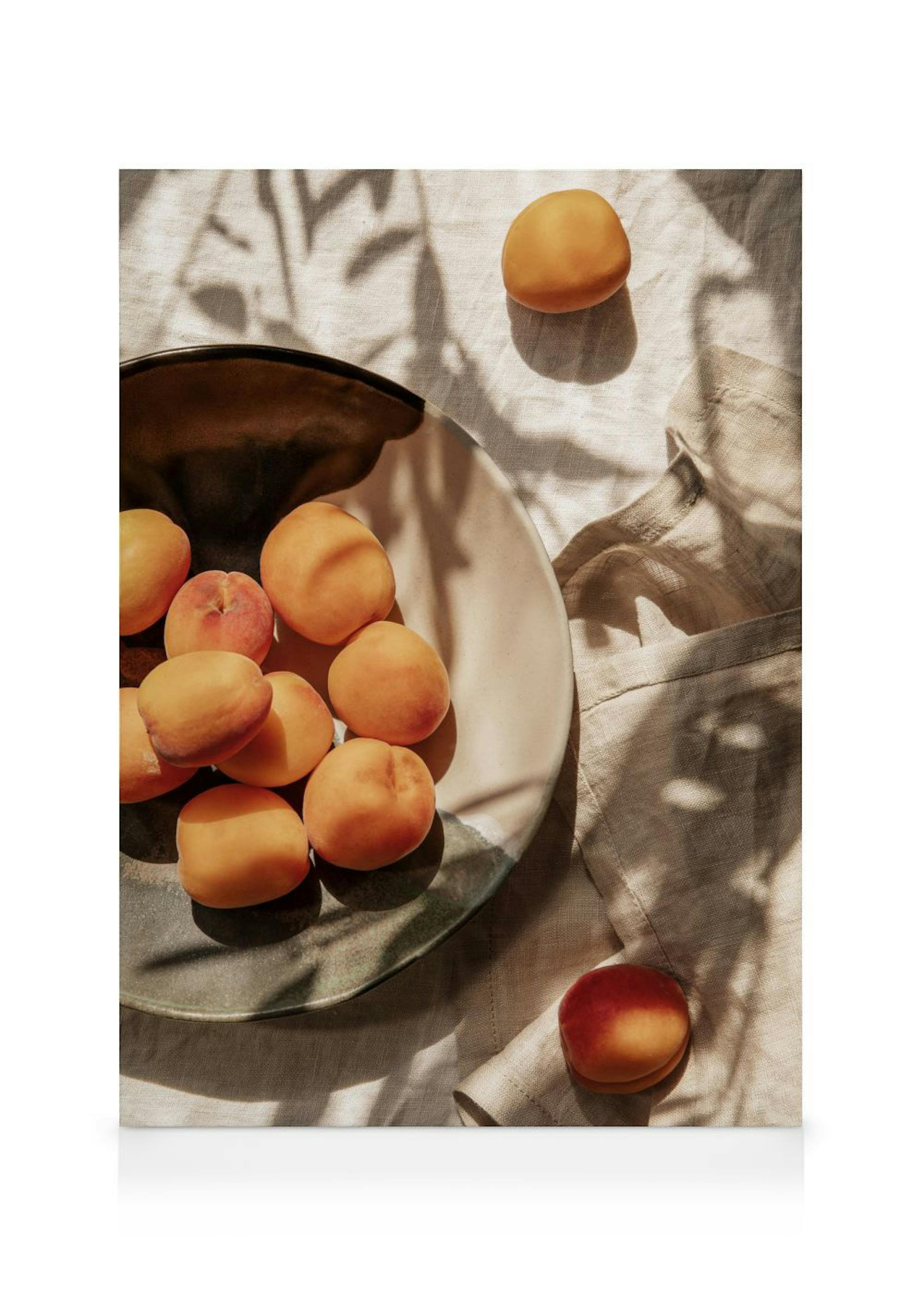 Apricots In Sunlight Canvas print 0