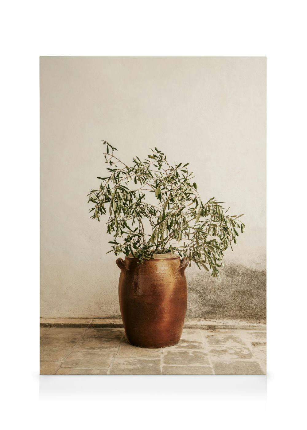 Leinwandbilder Rustic Olive Branch Leinwandbild (30x40 cm)