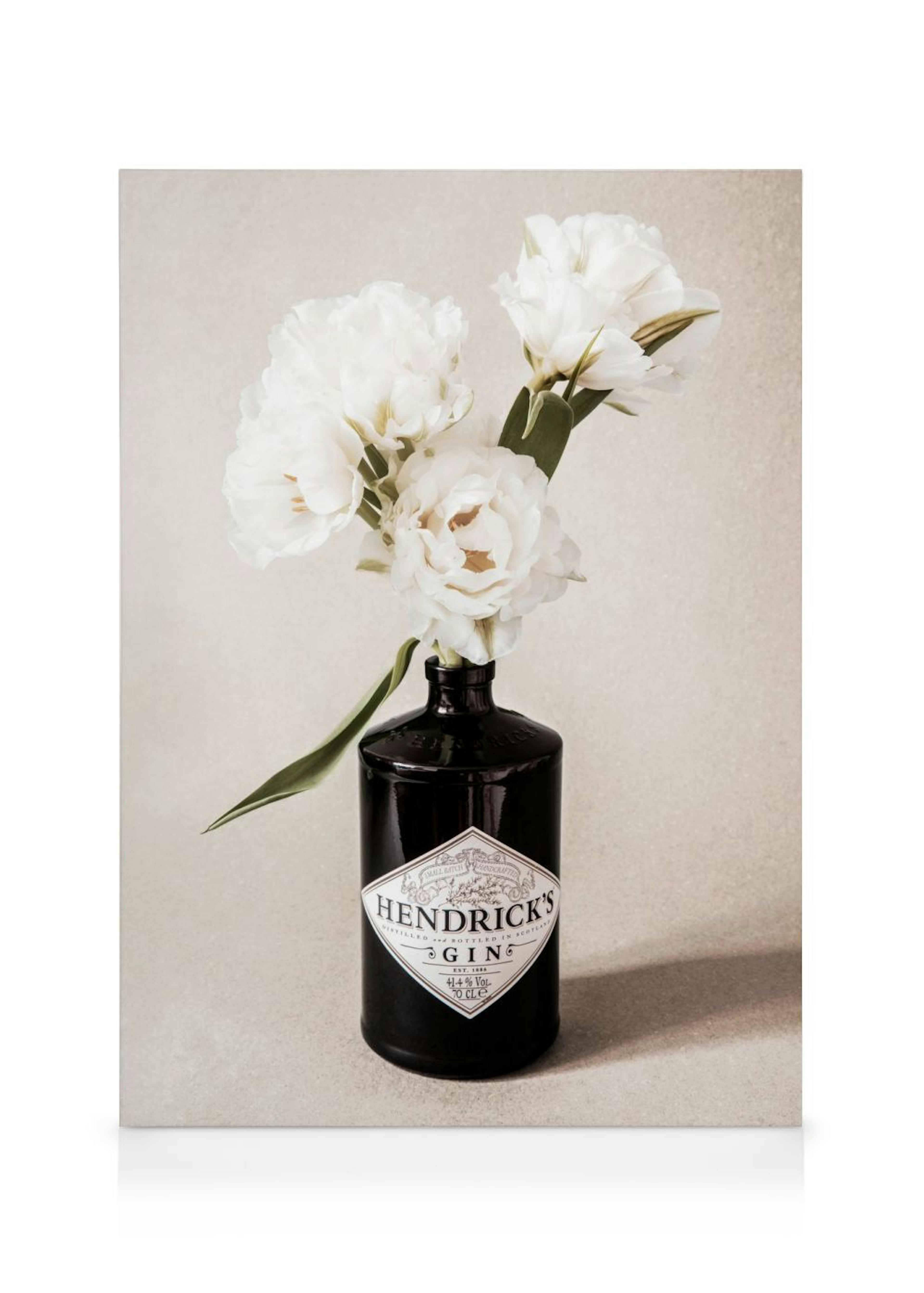 Gin & Roses Stampa su Tela 0