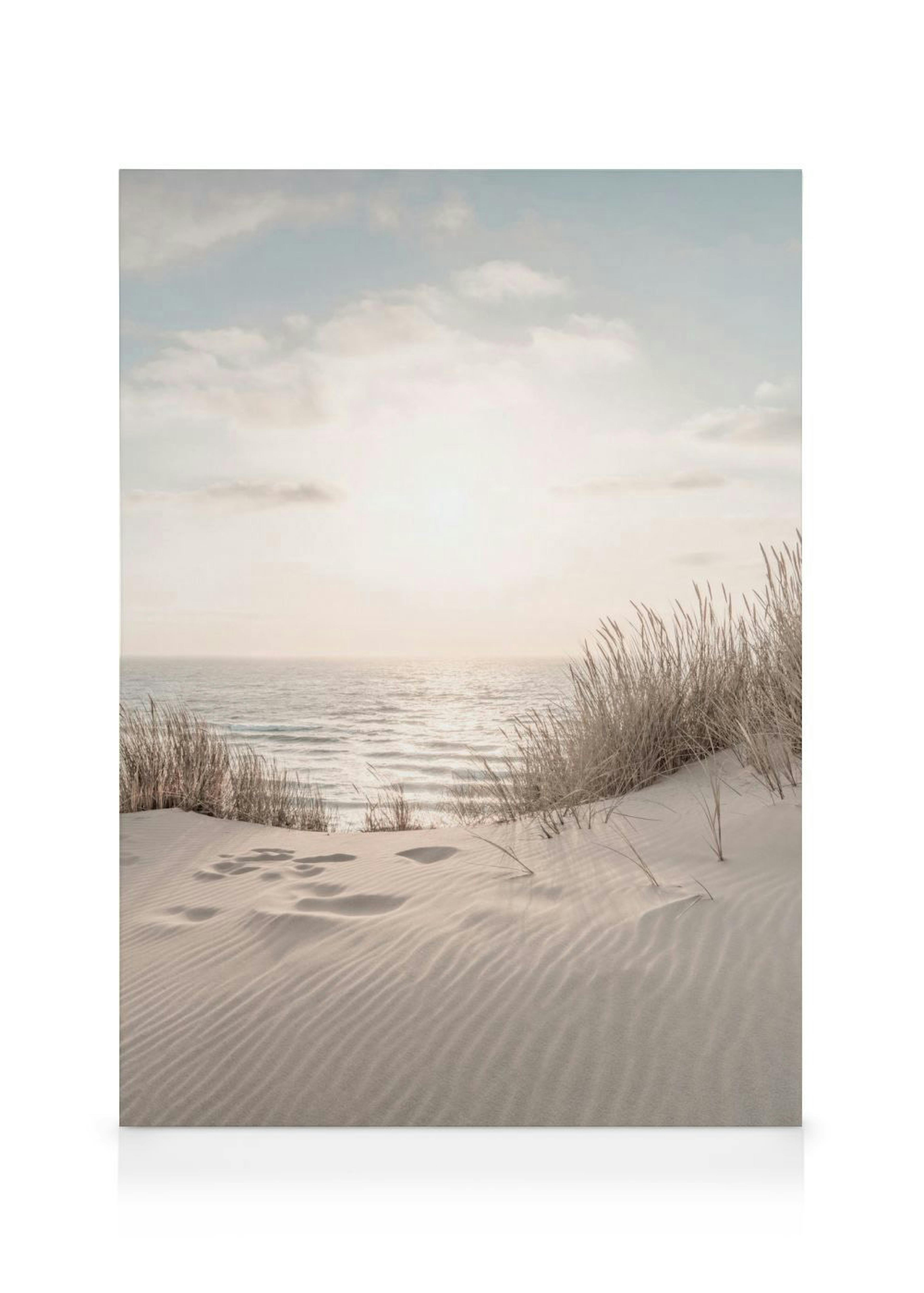 Dune Beach No2 Canvas print 0