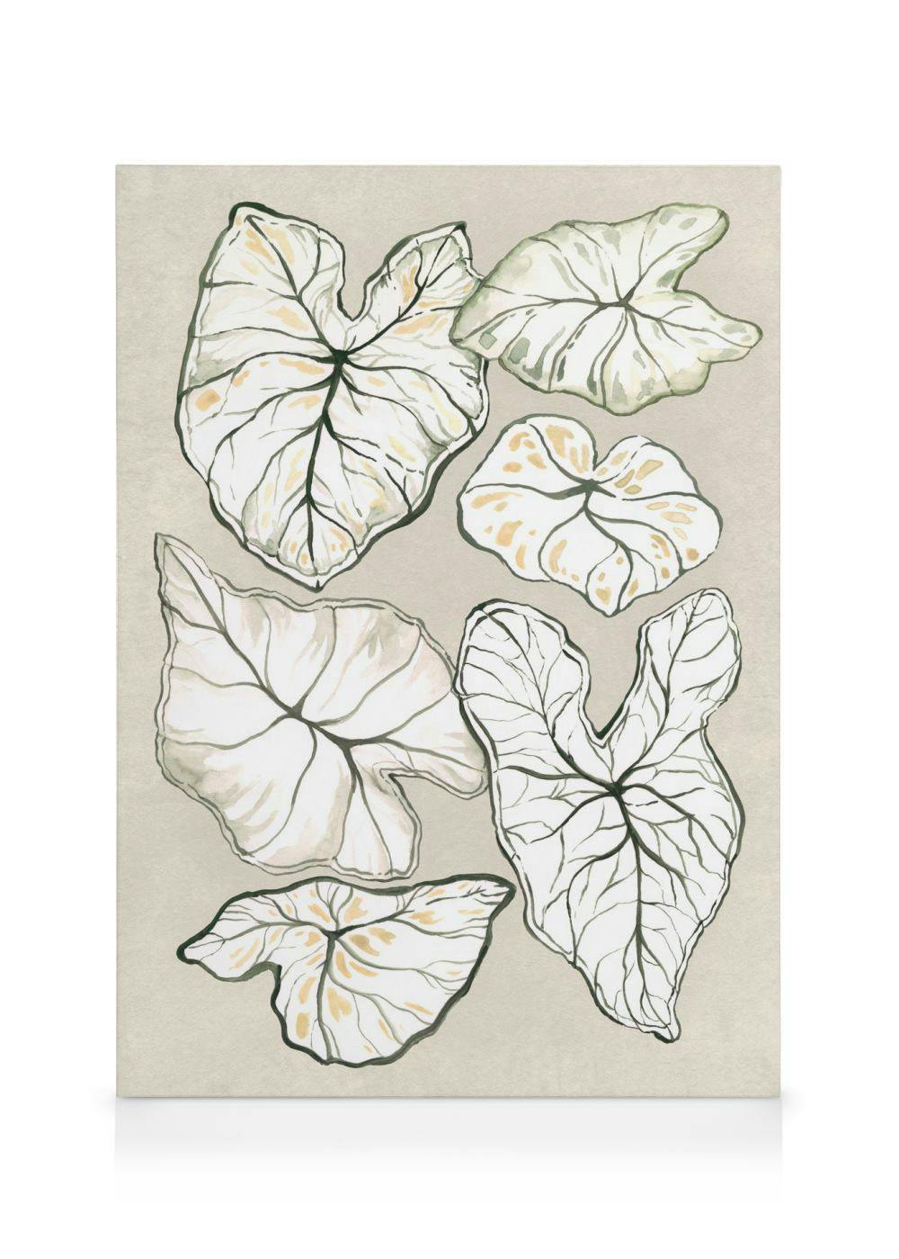Telas decorativas Caladium in Beige Tela (50x70 cm - Moldura Preta)