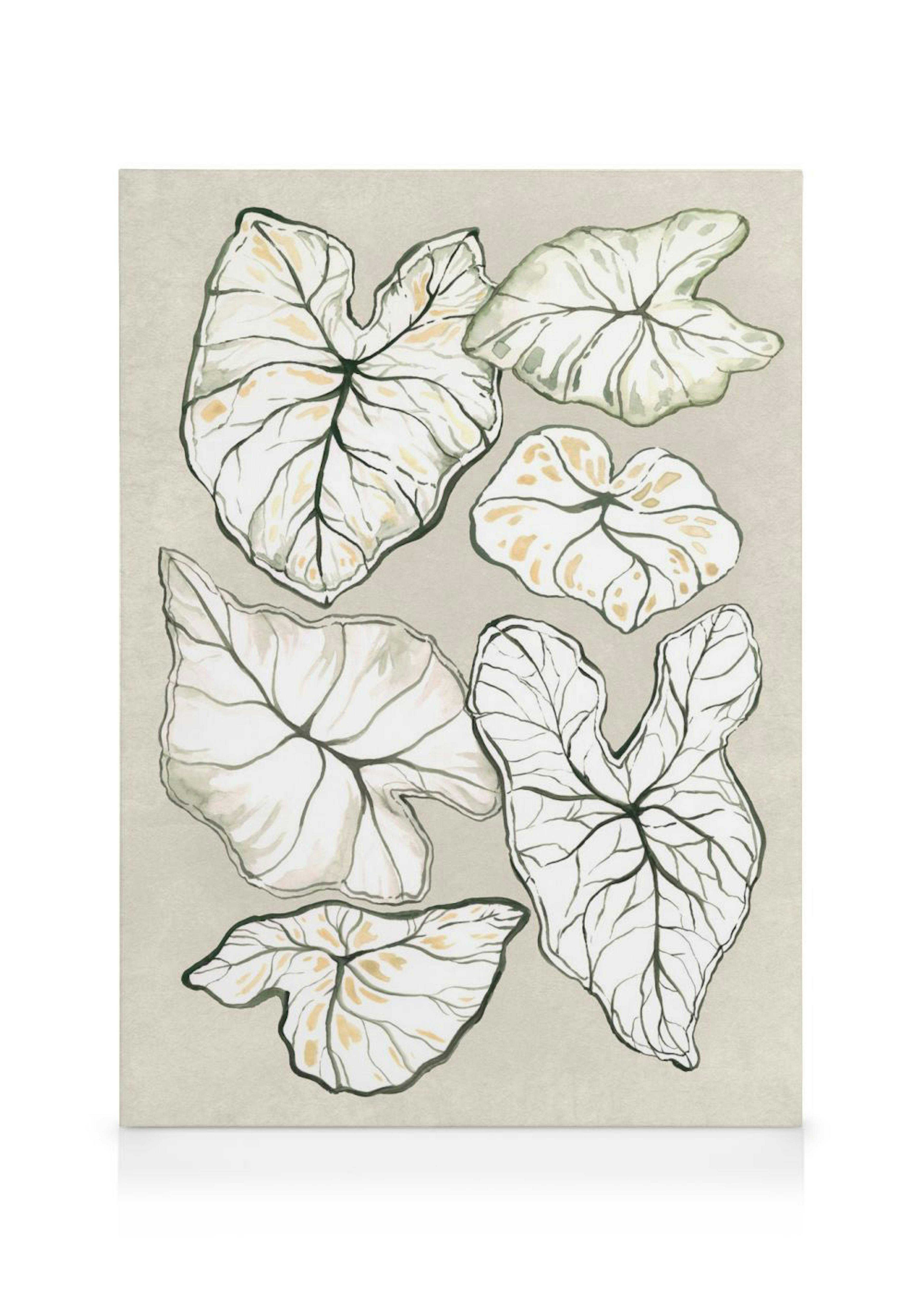 Caladium in Beige Lienzo 0