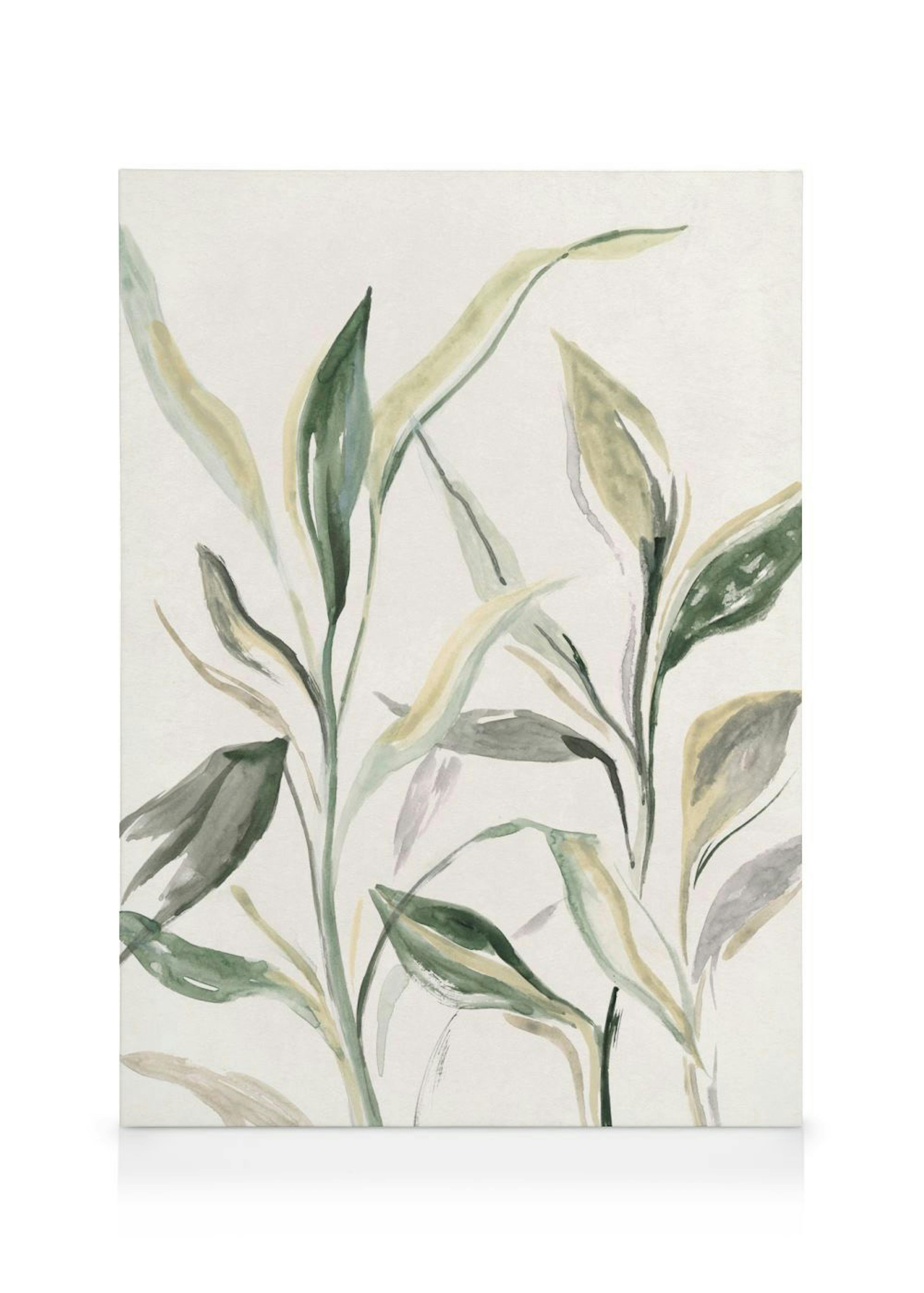 Painted Plant Canvas print 0