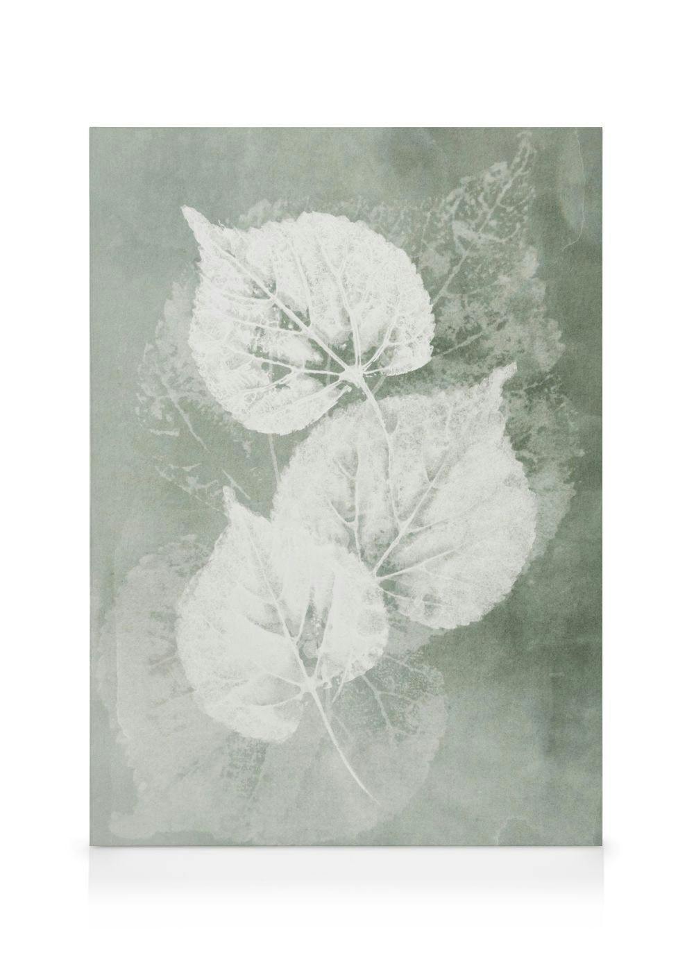 Canvas Prints Pressed Leaves Canvas print (50x70 cm - Black Frame)