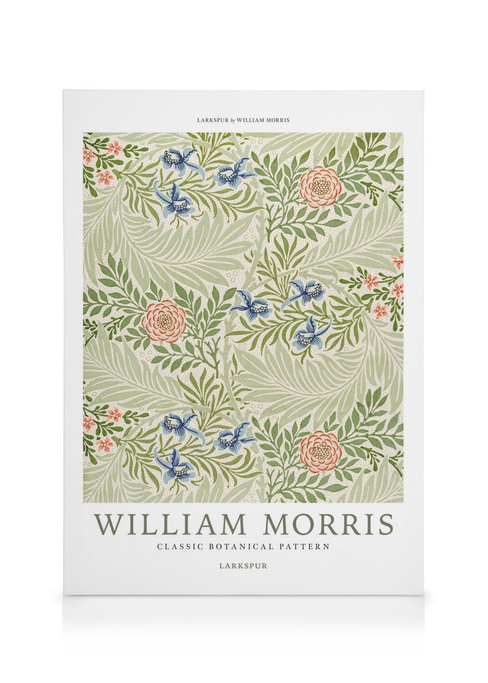 10 Migliori stikaco william morris confezione In Italia