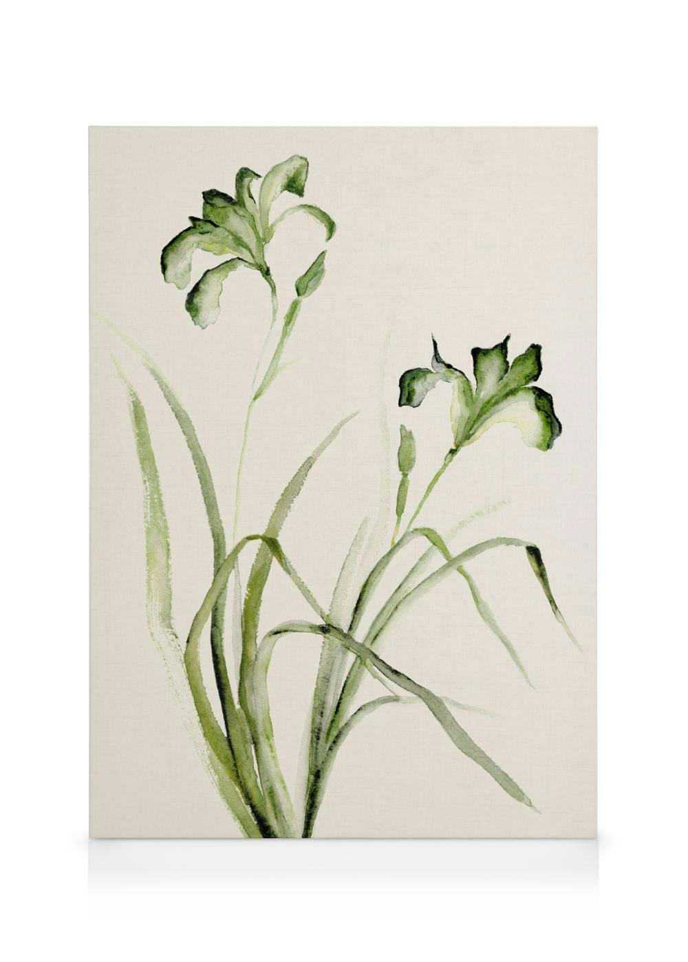 Lirios verdes de acuarela con hojas puntiagudas sobre un fondo beige, estilo botánico floral