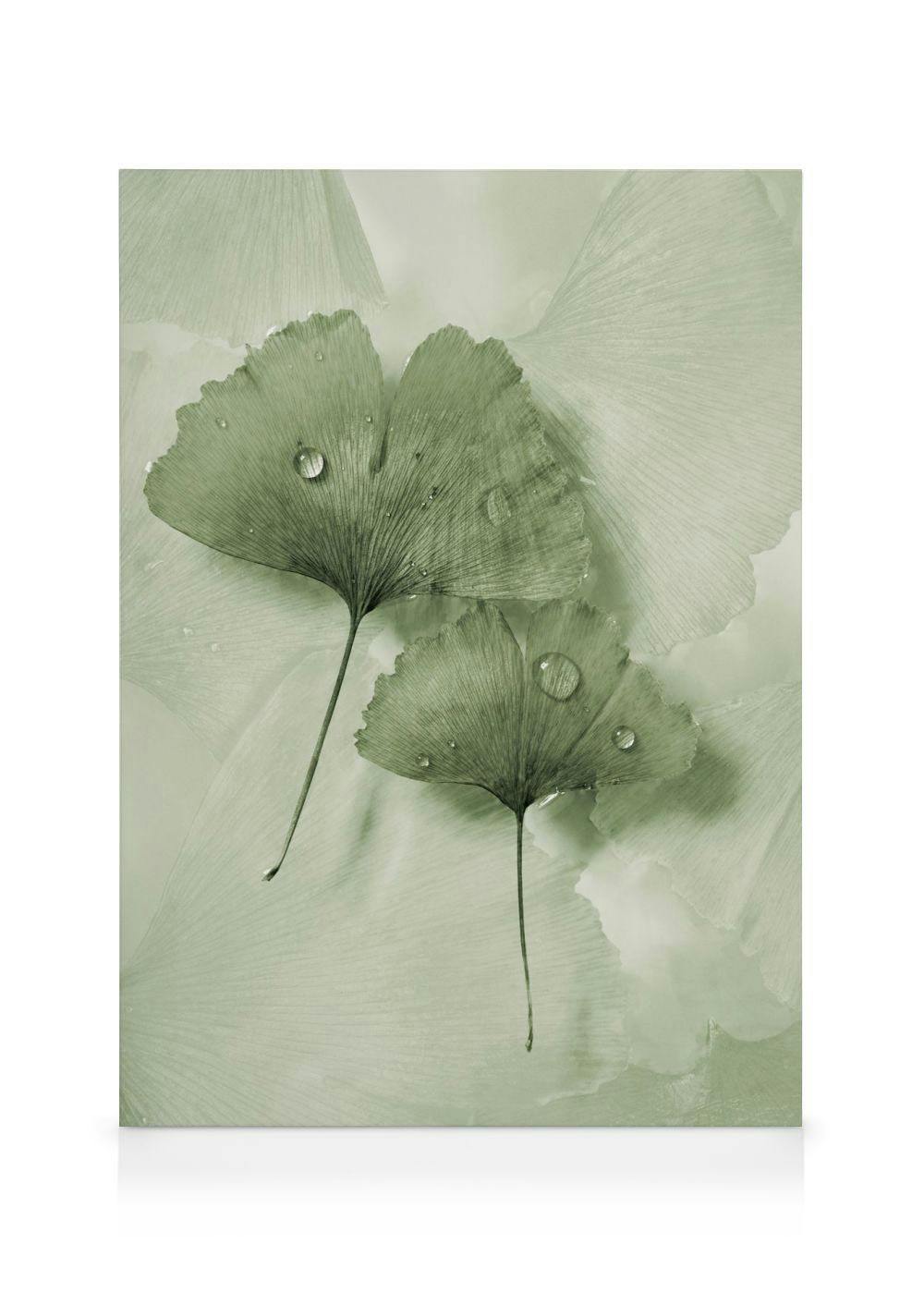 Telas decorativas Green Ginkgo Tela (50x70 cm)