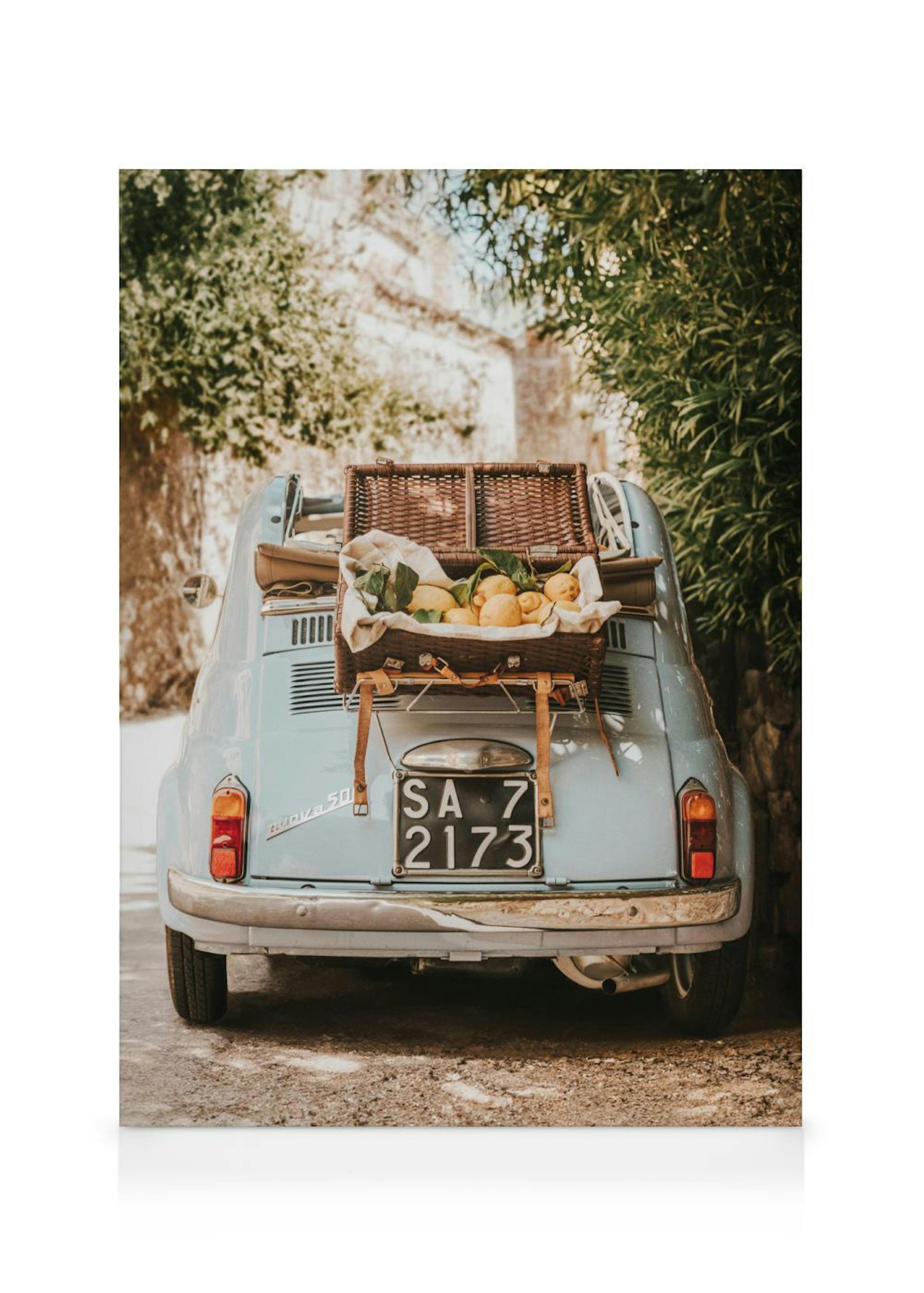 Citrus Cruise Canvas print 0