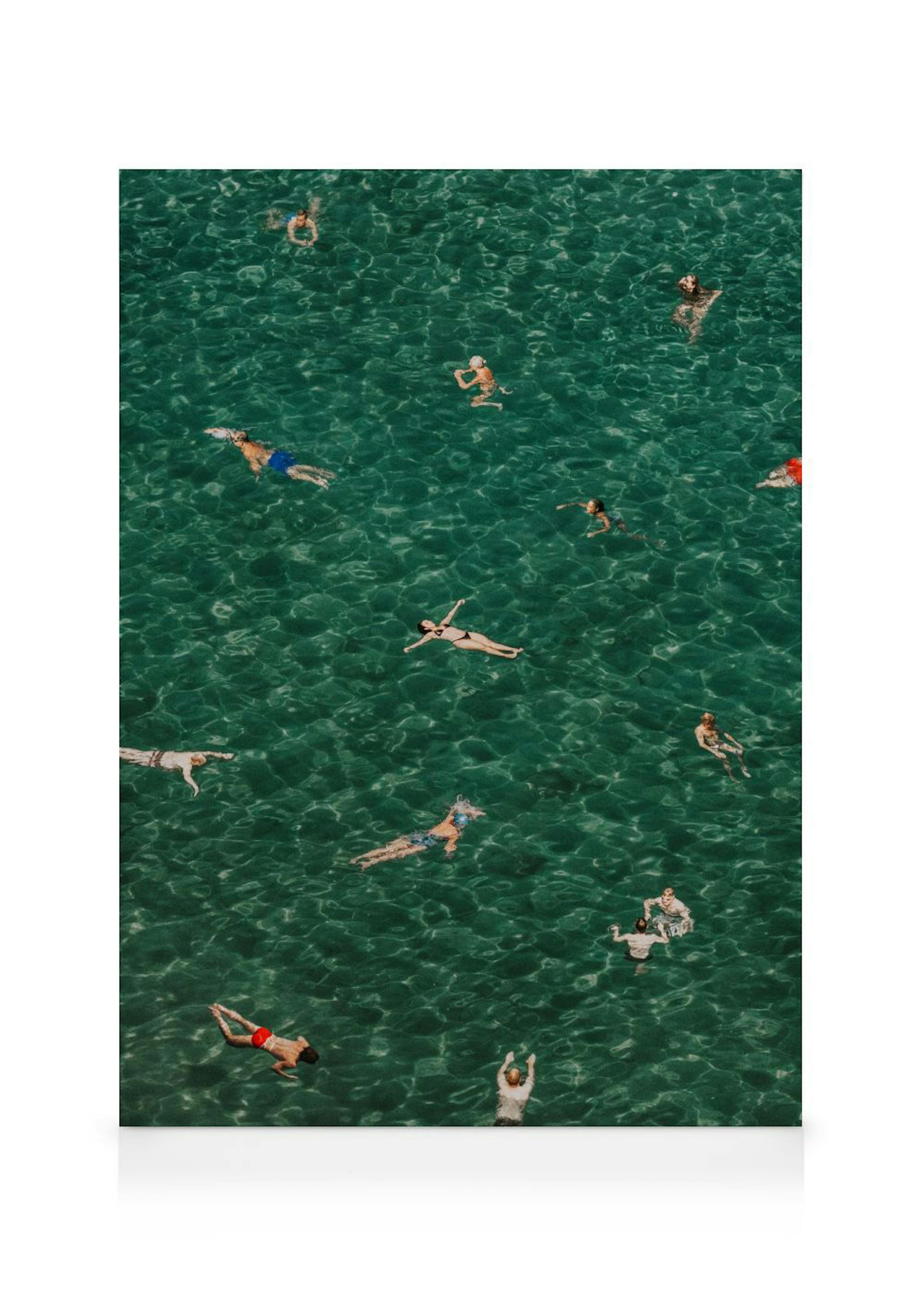 Mediterranean Mingle Leinwandbild 0