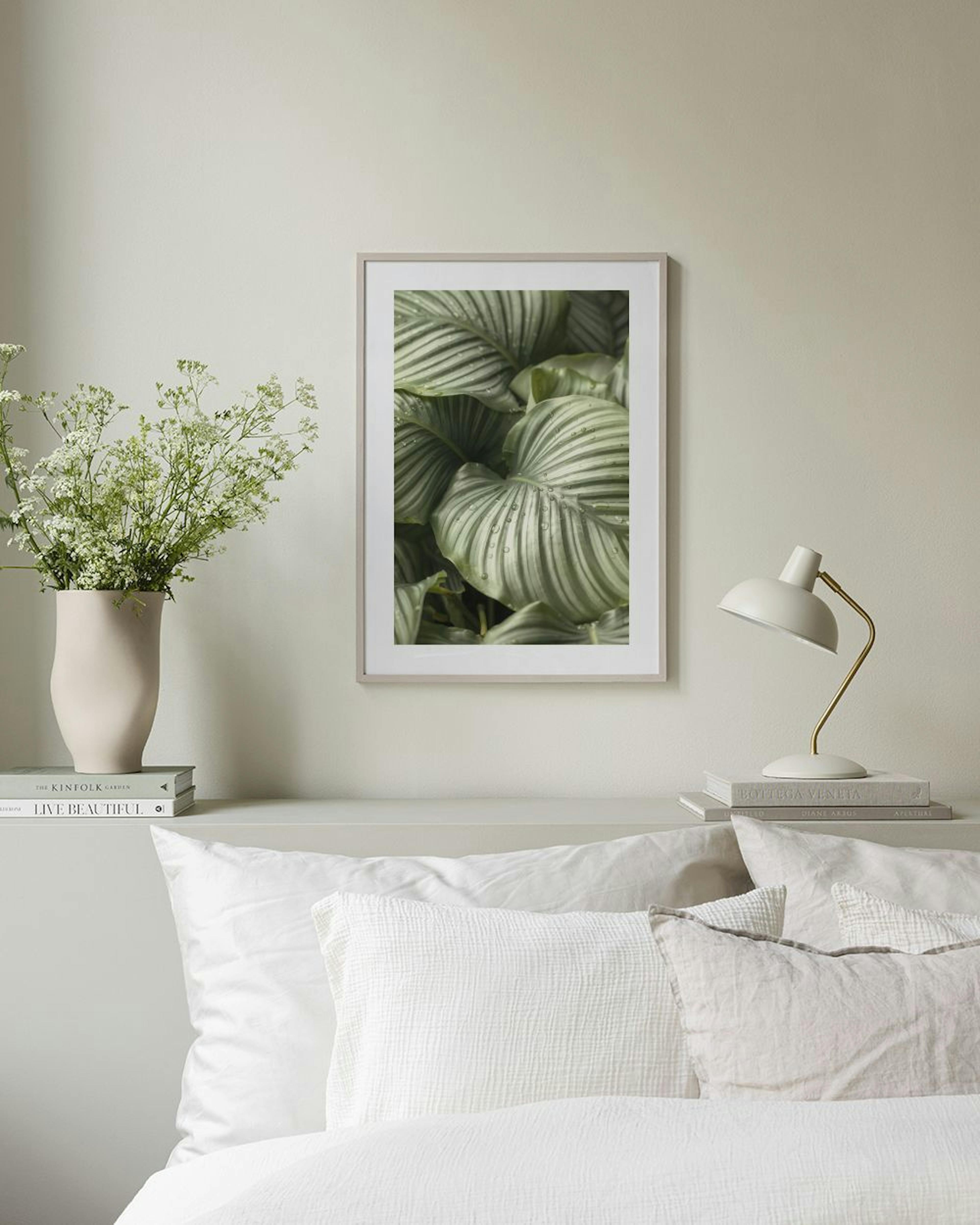 Calathea Leaves Poster