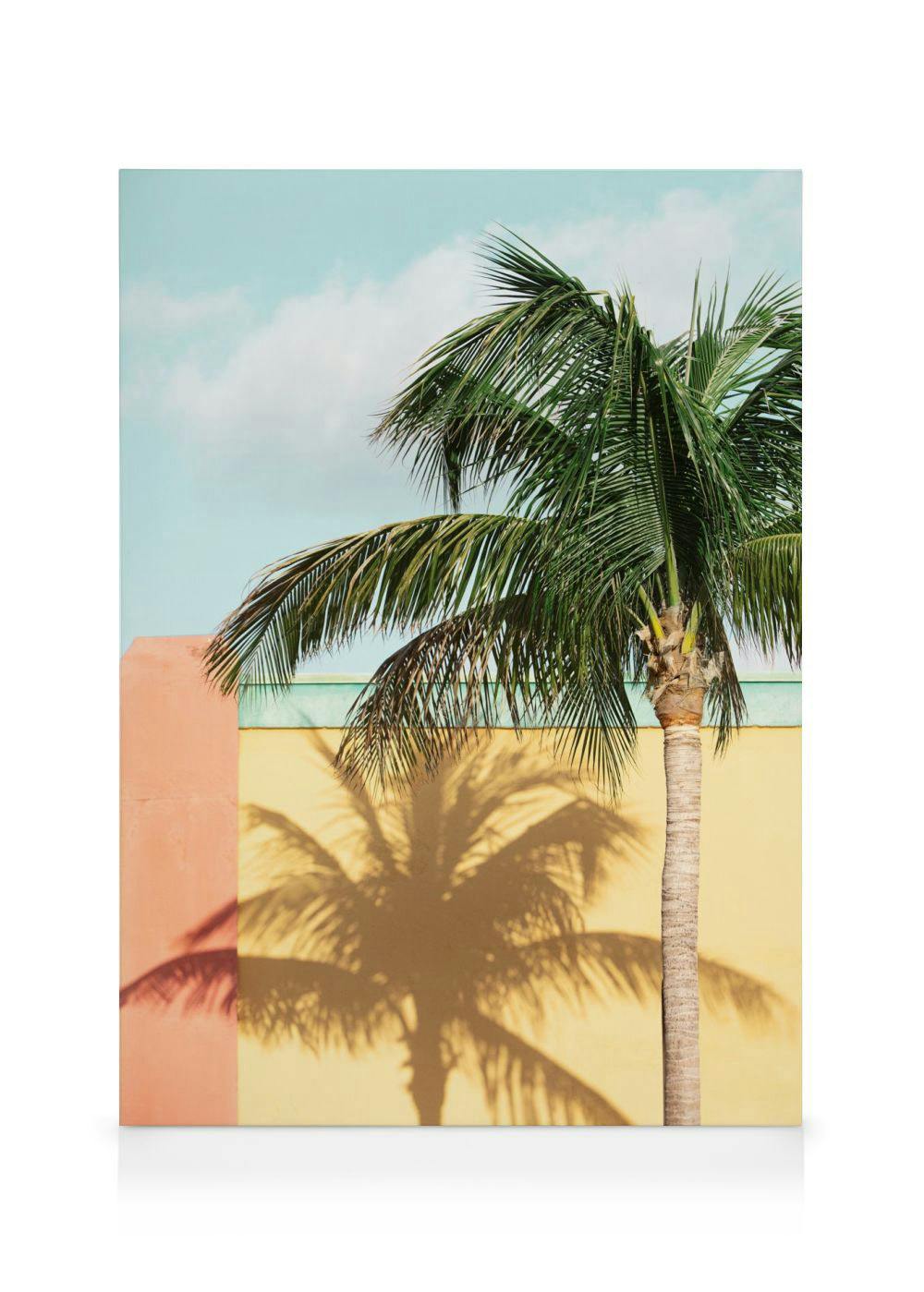 Canvas Schilderijen Sun-drenched Palm Canvas (30x40 cm)