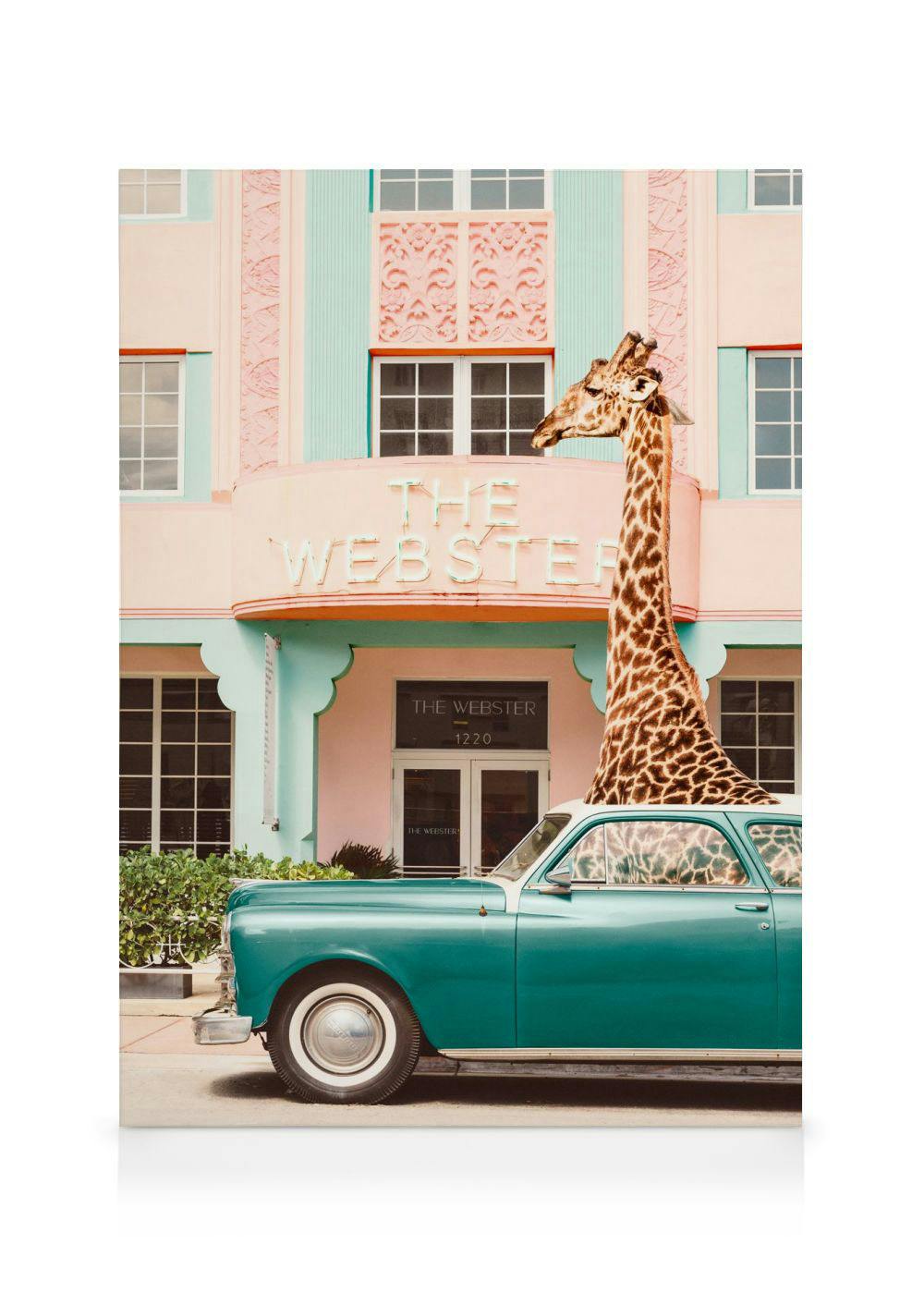 Canvas Prints Giraffe Parking Canvas (50x70 cm - Black Frame)