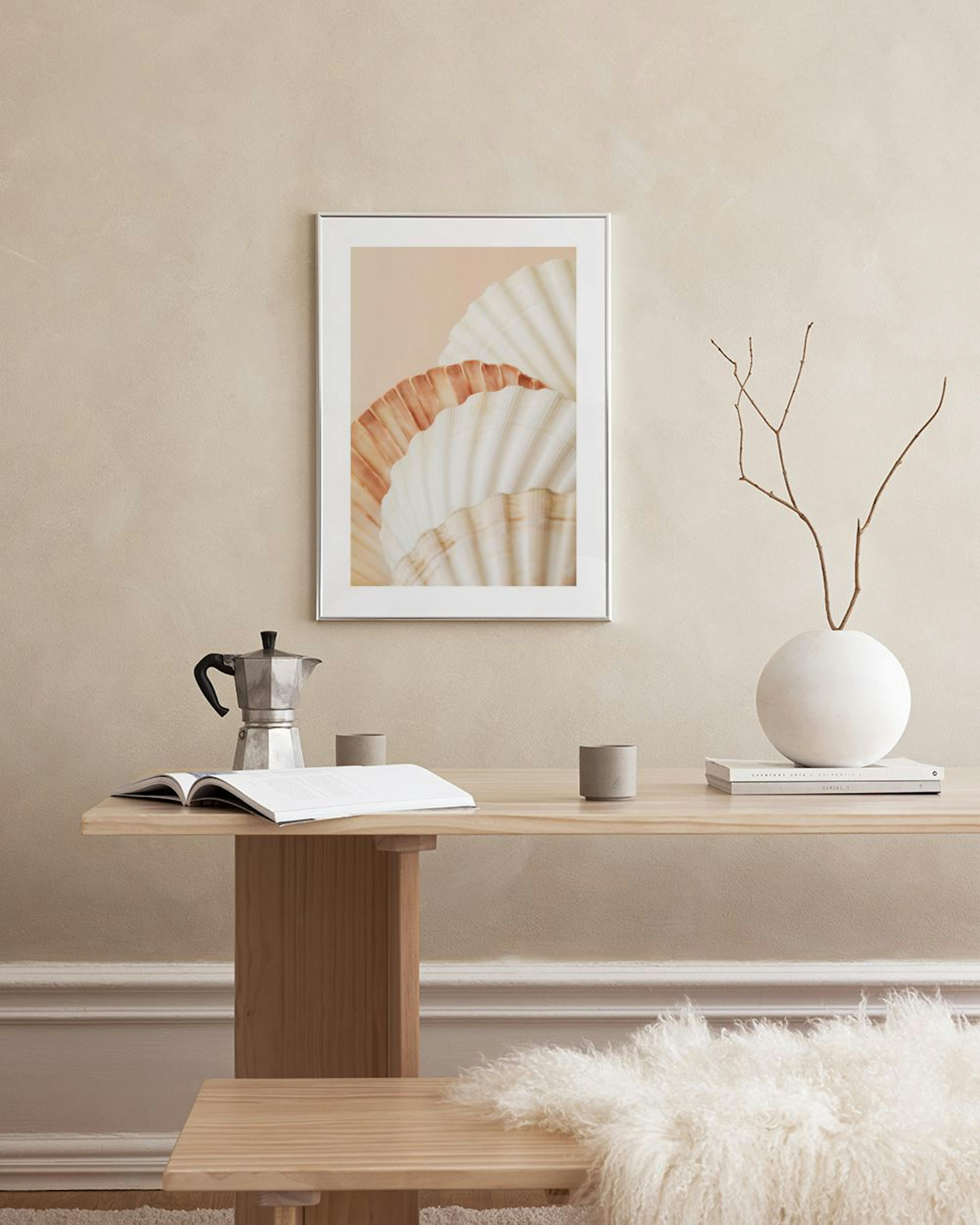 Shell Collection Print